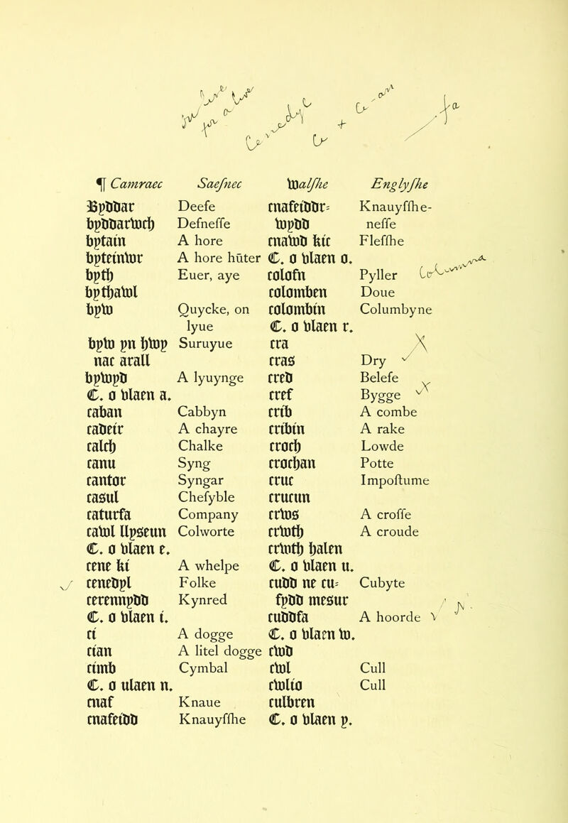 3Spbliar Deefe mafeibbr- Knauyfibe- bpböartDtl) Defneffe topbb neffe bptain A bore cnatoU bic Flefibe bpteinlor A bore buter C. 0 tlaCU 0. Pyller C(r m Euer, aye C0l0fn bptbatol C0l0tnben Done bpto Quyeke, on C0l0mbin Columbyne lyue C. 0 blaen r. bpto pn bbjp Suruyue era nac arall eras Dry bptopb A lyuynge ercb Belefe Bygge ^ C, 0 blaen a. eref caban Cabbyn crib A combe rabeir A ebayre eribm A rake Caleb Cbalke eraeb Lowde canu Syng eraebau Potte cant0r Syngar erne Impoftume casul Cbefyble erueun raturfb Company erbjs A croffe calDl llpseuu Colworte ertotb A croude C. 0 blaen e, cene fei cenelipl cmnnpöü C. 0 tlaen i. CÍ cian cimb C. 0 ulaen n, maf cnafeííití A whelpe Folke Kynred A dogge A litel dogge Cymbal Knaue Knauyffhe cr\0tb bal^n C. 0 blaen lu CUÌIÍI ne tn- fpö0 meöur cubbfa C. 0 blam in, ÙOÌi M rtölúj culbren C. 0 blaen p. Cubyte A hoorde ^ Cull Cull