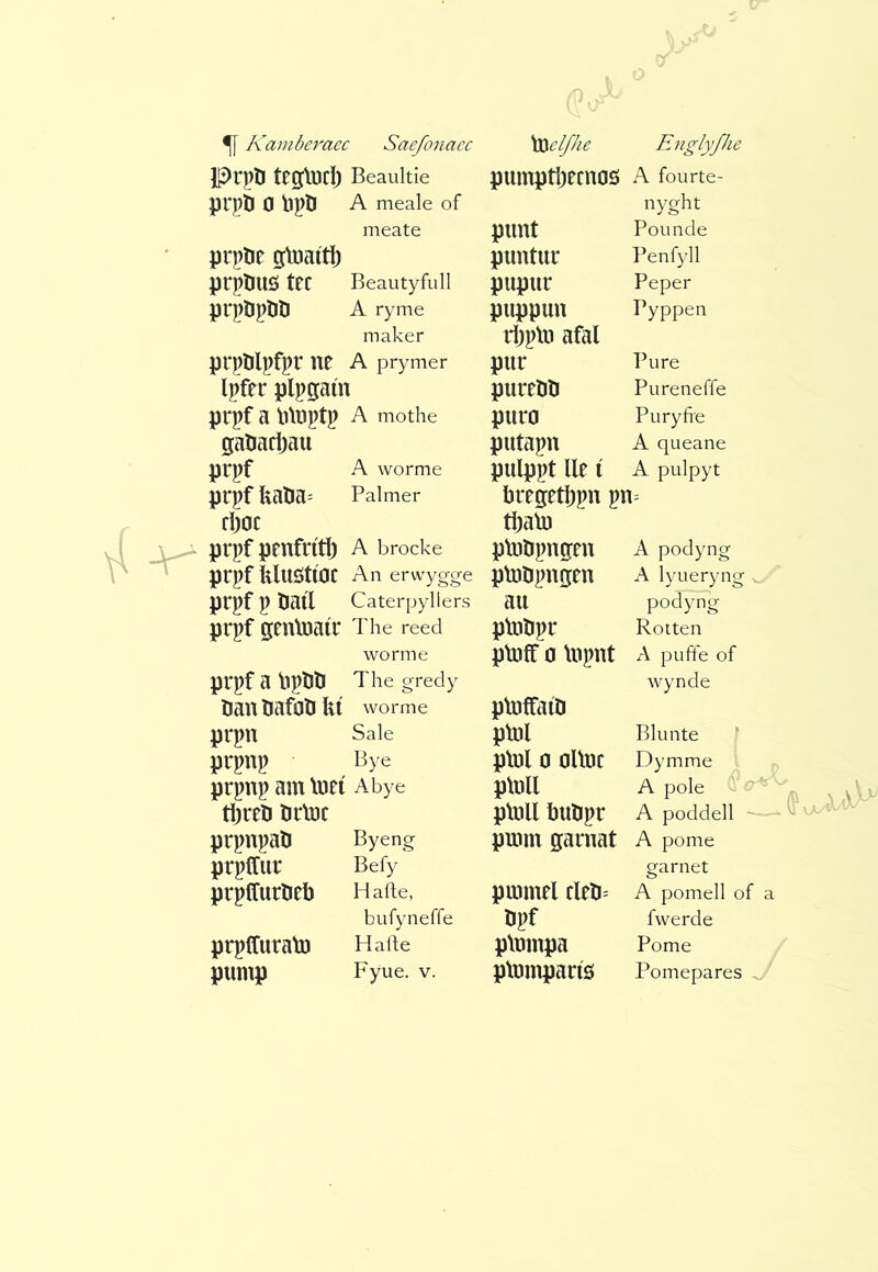 51 Kamberaec Saefonacc \SSclfke Englyfhe Prpö teglDCÍ) Beaultîe piimptîjecnOÖ A fourte- prpli 0 bpö A meale of nyght meate punt Poimde prpöe 5\uaítíj pimtur I’enfyll prpîms tec Beautyfull pupur Peper prpDpíiD A ryme puppuu Pyppen maker rbptii afal prj)0lpfpr ne A prymer pur Pure Ipfer plpgaín purröö Pureneffe prpf a lûuptp A mothe puro Puryfie gaöaiijau putapn A queane prpf A worme pulppt lie t A pulpyt prpf kalia= Palmer bregetbpn pn= fÌ)0C tbab) prpf penfrítlj A brocke plutipngen A podyng prpf îiluötíöc An ervvygge ptoUpngen A lyueryng prpf p öaíl Caterpyllers au podyng prpf gen\üaír The reed pUibpr Rotten worme ptoff 0 \npnt A pufte of prpf a lipìîîi The grecly wynde öanUafaîi ki worme ptöffaíD prpn Sale Blunte ^ prpnp Bye plnl 0 oUnc Dymme prpnp am \uet Abye plnll A pole tì)reö tirlìjc pUill bubpr A poddell - prpnpaö Byeng pmm garnat A pome prpffur Befy garnet prpífurtieb Hafte, pimnel cleli= A pomell of a bufyneffe bpf fwerde prpkuraki Hade p\nmpa Pome pump Fyue. V. p\umparis! Pomepares