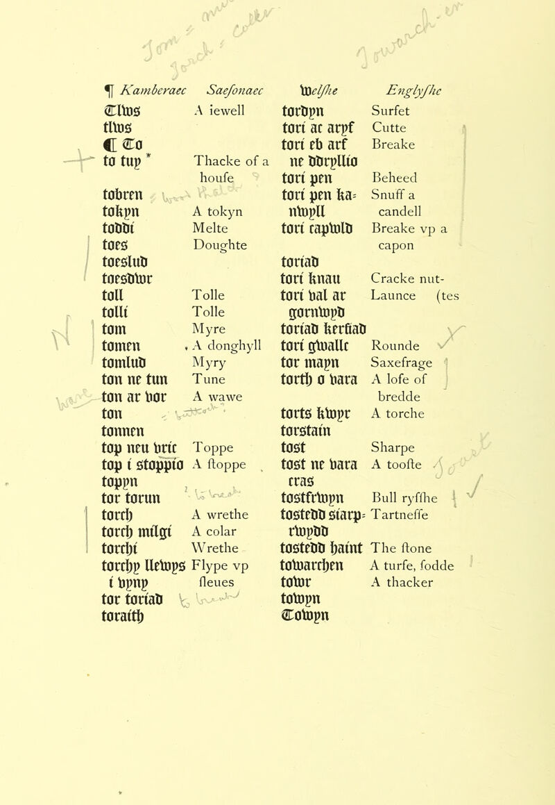 Cltos A iewell torbpn Surfet tUtJS tori ac arpf Cutte tori eb arf Breake ^ to tup Thacke of a ne bbrpllio houfe tori pen Beheed tobren tori pen ka- Snuff a takpn A tokyn lúnpU candell tobbi Melte tori capbJlb Breake vp a toes toesliib Doughte toriab capon tnesbtot: tori knau Cracke nut- toll Tolle tori bal ar Launce (tes tolli Tolle gornbjpb tom My re toriab kerfiab tonmi A donghyll tori gUiallc Rounde tomlub Myry tor mapn Saxefrage ton ne tun Tune torth 0 bara A lofe of ton ar bar A wawe bredde ton ' tonnen tortö kbjpr torstain A torche top neu brie Toppe toöt Sharpe top i ÖtO^ÍO A ftoppe tost ne bara A toofte toppn eras tor torun tostMnpn Bull ryflhe torch A wrethe tostebb siarp' T artneffe torch milgi A colar rbjpbb torchi W rethe tostebb hoint The ftone torchp llebjpo Flype vp tobîarchen A turfe, fodde i bpnp fleues totor A thacker tor toriab toraith tobjpn Cobjpn