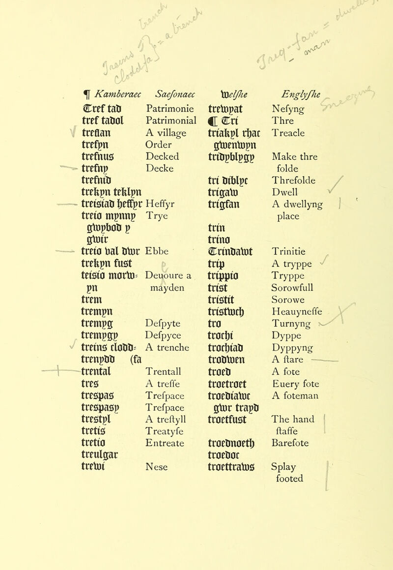 Cref tall Patrimonie trelopat N efy ng tref taöol Patrimonial C Cri Thre treflan A village triakpl ri)ac T reacle trefpn Order gtoentopn trefmis Decked triOpblpgp Make thre trefnp Decke folde trefníö tri bftlpc Threfolde trekpn tefelpn trigatu Dwell tretòtaö liefTpr Heffyr trtgfan A dwellyng treio mpnnp Trye place glupbon p trin gtriir trino treio M Dior Ebbe Crmliattit Trinitie trefepn fust trip A tryppe teíöío morto= Deuoure a trippio Tryppe pn mayden trist Sorowfull trem tristit Sorowe trempn tristtod) Heauyneffe trempg Defpyte tro Turnyng trempgp Defpyce trocbi Dyppe treins cloHli= A trenche trorbiati Dyppyng trenpöli (fa troOtuen A dare trental T rentall troeö A fote tres A treffe troetroet Euery fote trespas Trefpace troeöiatüc A foteman trespasp T refpace glor trapli trestpl A treilyll troetfust The hand tretíö T reatyfe flaffe tretio Entreate troelmoetl) Barefote treulgar troeöoc treloi Nese troettratos Splay footed
