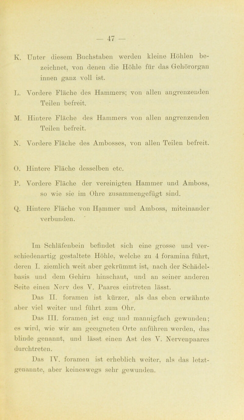 K. Unter diesem Buchstaben werden kleine Höhlen be- zeichnet, von denen dio Höhle für das Gehörorgan innen ganz voll ist. L. Vordere Fläche des Hammers; von allen angrenzenden Teilen befreit. M. Hintere Fläche des Hammers von allen angrenzenden Teilen befreit. N. Vordere Fläche des Ambosses, von allen Teilen befreit. O. Hintere Fläche desselben etc. P. Vordere Fläche der vereinigten Hammer und Amboss, so wie sie im Ohre zusammengefügt sind. Q. Hintere Fläche von Hammer und Amboss, miteinander verbunden. Im Schläfenbein befindet sich eine o-rosse und ver- O schiedenartig gestaltete Höhle, welche zu 4 foramina führt, deren I. ziemlich weit aber gekrümmt ist, nach der Schädel- basis und dem Gehirn hinschaut, und an seiner anderen Seite einen Nerv des V. Paares eintreten lässt. Das II. foramen ist kürzer, als das eben erwähnte aber viel weiter und führt zum Ohr. Das III. foramen ist eng und mannigfach gewunden; es wird, wie wir am geeigneten Orte anführen worden, das blinde genannt, und lässt einen Ast des V. Nervenpaares durchtreten. Das TV. foramen ist erheblich weiter, als das letzt- genannte, aber keineswegs sehr gewunden.