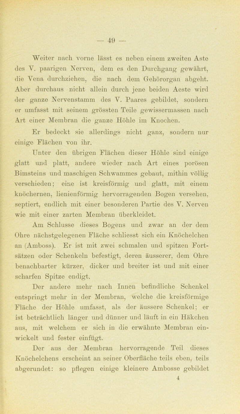 Weiter nach vorne lässt es neben einem zweiten Asto des Y. paarigen Nerven, dom es den Durchgang gewährt, die Vena durchziehen, die nach dem Gehörorgan abgeht. Aber durchaus nicht allein durch jene beiden Aeste wird der ganze Nervenstamm des V. Paares gebildet, sondern er umfasst mit seinem grössten Teile gewissermassen nach Art einer Membran die ganze Höhle im Knochen. Er bedeckt sie allerdings nicht ganz, sondern nur einige Flächen von ihr. Unter den übrigen Flächen dieser Höhle sind einige glatt und platt, andere wieder nach Art eines porösen Bimsteins und maschigen Schwammes gebaut, mithin völlig- verschieden ; eine ist kreisförmig und glatt, mit einem knöchernen, lienienförmig hervorragenden Bogen versehen, septiert, endlich mit einer besonderen Partie des V. Nerven wie mit einer zarten Membran überkleidet. Am Schlüsse dieses Bogens und zwar an der dem Ohre nächstgelegenen Fläche schliesst sich ein Knöchelchen an (Amboss). Er ist mit zwei schmalen und spitzen Fort- sätzen oder Schenkeln befestigt, deren äusserer, dem Ohre benachbarter kürzer, dicker und breiter ist und mit einer scharfen Spitze endigt. Der andere mehr nach Innen befindliche Schenkel entspringt mehr in der Membran, welche die kreisförmige Fläche der Höhle umfasst, als der äussere Schenkel; er ist beträchtlich länger und dünner und läuft in ein Häkchen aus, mit welchem er sich in die erwähnte Membran ein- wickelt und fester einfügt. Dor aus der Membran hervorragende Teil dieses Knöchelchens erscheint an seiner Obcrflächo teils oben, teils abgerundet: so pflegen einige kleinere Ainbosso gebildet 4