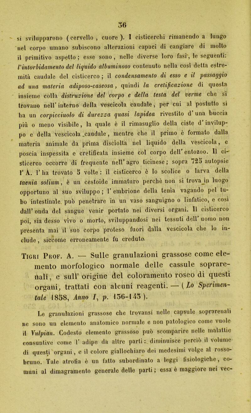 si svilupparono (cervello, cuore). I cisticerchi rimanendo a lungo nel corpo umano subiscono alterazioni capaci di cangiare di molto il primitivo aspetto; esse sono, nelle diverse loro fasi, le seguenti: l’intorbidamento del liquido albuminoso contenuto nella così detta estre- mità caudale del cisticerco ; il condensamento di esso e il passaggio ad una materia adiposo-caseosa, quindi la cretificazione di questa insieme colla distruzione del corpo e della testa del verme che si trovano nell’interno della vescicola caudale, per cui al postutto si ha un corpicciuolo di durezza quasi lapidea rivestito d una buccia più o meno visibile, la quale è il rimasuglio della ciste d’invilup- po e della vescicola .caudale, mentre che il primo è formato dalla materia animale da prima disciolta nel liquido della vescicola, e poscia inspessita e cretifieata insieme col corpo dell entozoo. 11 ci- sticerco occorre di frequente nell’agro ticinese; sopra autopsie 1’ A. 1’ ha trovato 5 volte : il cisticerco è lo scolice o larva della taenia solium, è un cestoide immaturo perche non si trovabili luogo opportuno al suo sviluppo ; 1’ embrione della tenia vagando pel tu- bo intestinale, può penetrare in un vaso sanguigno o linfatico, e così dall’ onda del sangue venir portato nei diversi organi. Il cisticerco poi, sia desso vivo o morto, sviluppandosi nei tessuti dell’ uomo non presenta mai il suo corpo proteso fuori dalla vescicola che lo in- clude , siccome erroneamente fu creduto. Tigri Prof. A. — Sulle granulazioni grassose come ele- mento morfologico normale delle cassule soprare- nali, e sull’ origine del coloramento roseo di questi organi, trattati con alcuni reagenti. — ( lo Sperimen- tale 1858, Anno /, p. 156-143). Le granulazioni grassose che trovansi nelle capsule sopì alenali ne sono un elemento anatomico normale e non patologico come vuole il Vulpian. Codesto elemento grassoso può scomparire nelle malattie consuntive come 1’ adipe da altre parti : diminuisce perciò il volume di questi organi, e il colore giallochiaro dei medesimi volge al rosso- bruno. Tale atrofia è un fatto subordinato a leggi fisiologiche, co- muni al dimagramento generale delle parti ; essa è maggiore nei vec-