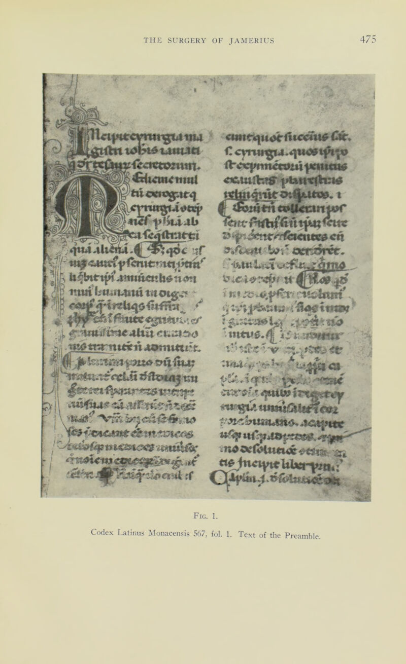 J ?>• £iuitt<timi tiicmgitr^ Vif Ih u|b^t^4mtÄatb^nd?t ittmbti..it4imt]itot4^^ ?f r> I <*nitt|uoritiCimt# 1^. <! cvntt^.4)iio^tfbp iVc«}mi«cii!m)miiw Mtuihf$^ ptotuctlmi^ >i4tn<«^ki4m«H* cn !w^v ixfuifw. - '4feUi US^t^^iijnA ^ i K f Ä? pvjchxnt . v;j[J^tJt*3F<^04je tftii^ ^ ib t:H 4 -V <t ^ Uüilf • f <5J f^-äntan4«^^W!i%|ntr ^ Fig. 1. Codex I^atimis ^fonacciisis 567, fol. I. Text of tlie Preamble.