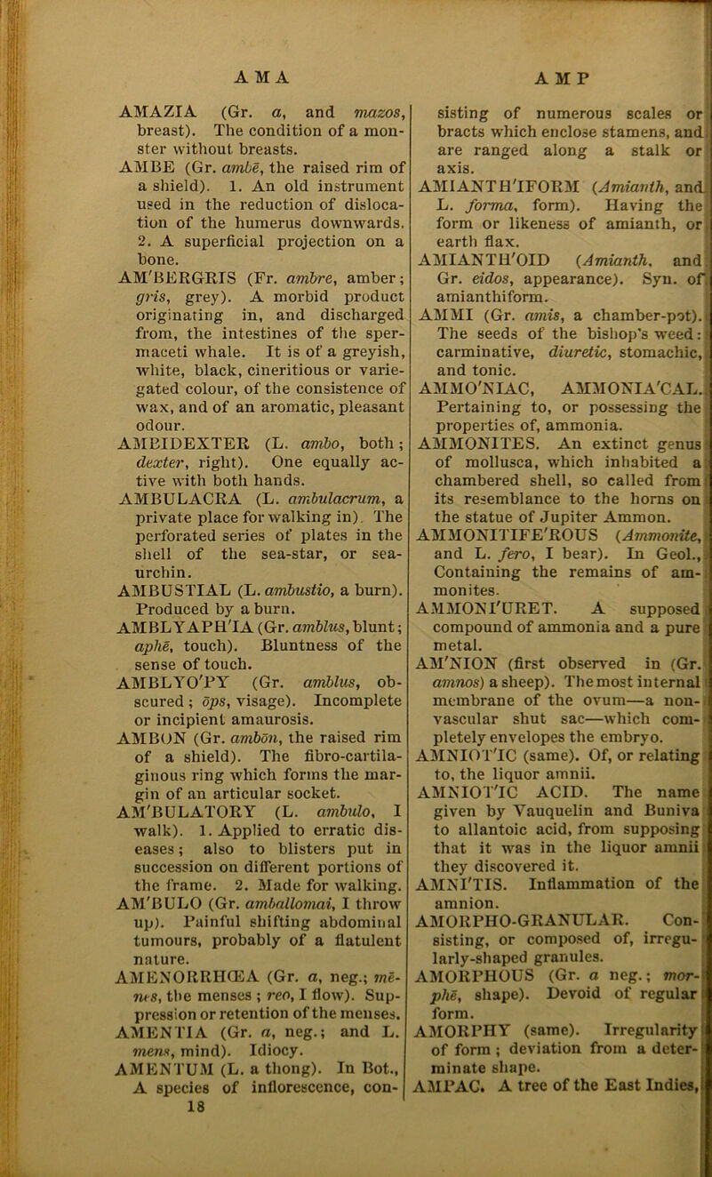 AMAZIA (Gr. a, and mazos, breast). The condition of a mon- ster without breasts. AMBE (Gr. ambe, the raised rim of a shield). 1. An old instrument used in the reduction of disloca- tion of the humerus downwards. 2. A superficial projection on a bone. AM'BERGRIS (Fr. ambre, amber; gris, grey). A morbid product originating in, and discharged from, the intestines of the sper- maceti whale. It is of a greyish, white, black, cineritious or varie- gated colour, of the consistence of wax, and of an aromatic, pleasant odour. AMBIDEXTER (L. ambo, both; dexter, right). One equally ac- tive with both hands. AMBULACRA (L. ambulacrum, a private place for walking in) The perforated series of plates in the shell of the sea-star, or sea- urchin. AMBUSTIAL (L. ambustio, a burn). Produced by a burn. AMBLYAPH'IA (Gr. amblus, blunt; aplie, touch). Bluntness of the sense of touch. AMBLYO'PY (Gr. amblus, ob- scured ; dps, visage). Incomplete or incipient amaurosis. AMBON (Gr. ambon, the raised rim of a shield). The fibro-cartila- ginous ring which forms the mar- gin of an articular socket. AM'BULATORY (L. avibido, I walk). 1. Applied to erratic dis- eases ; also to blisters put in succession on different portions of the frame. 2. Made for walking. AM'BULO (Gr. aviballomai, I throw up). Painful shifting abdominal tumours, probably of a flatulent nature. AMENORRIUEA (Gr. a, neg.; me- ins, the menses ; reo, I flow). Sup- pression or retention of the menses. AMENTIA (Gr. a, neg.; and L. mens, mind). Idiocy. AMENTUM (L. a thong). In Bot., A species of inflorescence, con- 18 sisting of numerous scales or bracts which enclose stamens, andl are ranged along a stalk or axis. AMIANTHTFORM (Amianth, andJ L. forma, form). Having the form or likeness of amianth, or.I earth flax. AMIANTH'OID (Amianth, and; Gr. eidos, appearance). Syu. of. amianthiform. AMMI (Gr. amis, a chamber-pot).i The seeds of the bishop's weed: I carminative, diuretic, stomachic,!; and tonic. AMMO'NIAC, AMMONIA'CAL.j Pertaining to, or possessing the; properties of, ammonia. AMMONITES. An extinct genus* of mollusca, which inhabited a chambered shell, so called from; its resemblance to the horns on the statue of Jupiter Ammon. AMMONITIFE'ROUS (Ammonite,« and L. fero, I bear). In Geol., Containing the remains of am- monites. AMMONI'URET. A supposed I compound of ammonia and a pure I metal. AM'NION (first observed in (Gr. amnos) a sheep). The most internal ] membrane of the ovum—a non- vascular shut sac—which com- pletely envelopes the embryo. AMNIOT'IC (same). Of, or relating i to, the liquor amnii. AMNIOT'IC ACID. The name given by Vauquelin and Buniva to allantoic acid, from supposing that it was in the liquor amnii they discovered it. AMNI'TIS. Inflammation of the amnion. AMORPHO-GRANULAR. Con- sisting, or composed of, irregu- larly-shaped granules. AMORPHOUS (Gr. a neg.; mor-f pile, shape). Devoid of regular form. AMORPHY (same). Irregularity; of form ; deviation from a deter- minate shape. AMPAC. A tree of the East Indies,;