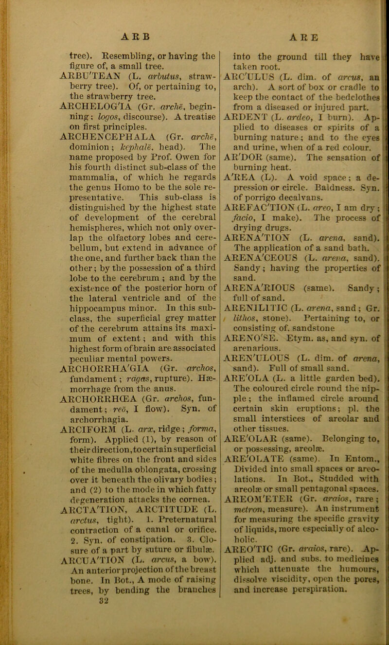 tree). Resembling, or having the figure of, a small tree. ARBU'TEAN (L. arbutus, straw- berry tree). Of, or pertaining to, the strawberry tree. ARCHELOG'IA (Gr. arclie, begin- ning: logos, discourse). A treatise on first principles. ARCHENCEPHALA (Gr. arche, dominion ; kcphale, head). The name proposed by Prof. Owen for his fourth distinct sub-class of the mammalia, of which he regards the genus Homo to be the sole re- presentative. This sub-class is distinguished by the highest state of development of the cerebral hemispheres, which not only over- lap the olfactory lobes and cere- bellum, but extend in advance of the one, and further back than the other; by the possession of a third lobe to the cerebrum ; and by the existence of the posterior horn of the lateral ventricle and of the hippocampus minor. In this sub- class, the superficial grey matter of the cerebrum attains its maxi- mum of extent; and with this highest form ofbrain are associated peculiar mental powers. ARCHORRHA'GIA (Gr. archos, fundament; ragas, rupture). Hae- morrhage from the anus. ARCHORRHCEA (Gr. archos, fun- dament; red, I flow). Syn. of arcliorrhagia. ARGIFORM (L. arx, ridge; forma, form). Applied (1), by reason of their direction, to certain superficial white fibres on the front and sides of the medulla oblongata, crossing over it beneath the olivary bodies; and (2) to the mode in which fatty degeneration attacks the cornea. ARCTA'TION, ARCTITUDE (L. arctus, tight). 1. Preternatural contraction of a canal or orifice. 2. Syn. of constipation. 3. Clo- sure of a part by suture or fibulae. ARCUA'TION (L. arcus, a bow). An anterior projection of the breast bone. In Bot,., A mode of raising trees, by bending the branches 32 into the ground till they have taken root. ARC'ULUS (L. dim. of arcus, an arch). A sort of box or cradle to keep the contact of the bedclothes ; from a diseased or injured part. ARDENT (L. ardeo, I burn). Ap- ■ plied to diseases or spirits of a ! burning nature; and to the eyes and urine, when of a red colour, l! AE'DOR (same). The sensation of burning heat. A'REA (L). A void space; a de- pression or circle. Baldness. Syn. of porrigo decalvans. AREFAC'TION (L. areo, I am dry; i facio, I make). The process of drying drugs. ARENA'TION- (L. arena, sand). The application of a sand bath. ARENA'CEOLTS (L. arena, sand). Sandy; having the properties of sand. ARENA'RIOUS (same). Sandy; f full of sand. ARENJL1TIC (L. arena, sand; Gr. I / lithos, stone). Pertaining to, or consisting of. sandstone ARENO'SE. Etyrn. as, and syn. of arenarious. AREN'ULOUS (L. dim. of arena, ' sand). Full of small sand. ARE'OLA (L. a little garden bed). The coloured circle round the nip- ple ; the inflamed circle around certain skin eruptions; pi. the small interstices of areolar and other tissues. ARE'OLAR (same). Belonging to. or possessing, areolae. ARE'OLATE (same). In Entom., Divided into small spaces or areo- lations. In Bot., Studded with areolae or small pentagonal spaces. > AREOM'ETElt (Gr. araios, rare; metron, measure). An instrument for measuring the specific gravity of liquids, more especially of alco- : holic. AREO'TIC (Gr. araios, rare). Ap- / plied adj. and subs, to medicines * which attenuate the humours, i dissolve viscidity, open the pores, i and increase perspiration.