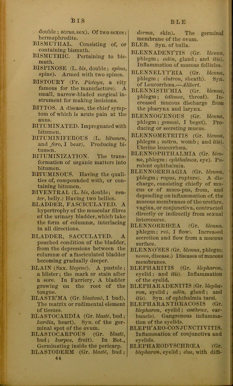 B LE double ; sexus, sex). Of two sexes; hermaphrodite. BISMUTHAL. Consisting of, or containing bismuth. BISMUTHIC. Pertaining to bis- muth. BISPINOSE (L. bis, double; spina, spine). Armed with two spines. BISTOURY (Fr. Pistoya, a city famous for the manufacture). A small, narrow-bladed surgical in- strument for making incisions. BITTOS. A disease, the chief symp- tom of which is acute pain at the anus. BITUMINATED. Impregnated with bitumen. BITUMINIFEROUS (L. bitumen, and fero, I bear). Producing bi- tumen. BITUMINIZATION. The trans- formation of organic matters into bitumen. BITUMINOUS. Having the quali- ties of, compounded with, or con- taining bitumen. BIVENTRAL (L. bis, double; ven- ter, belly.) Having two bellies. BLADDER, FASCICULATED. A hypertrophy of the muscular fibres of the urinary bladder, which take the form of columnae, interlacing in all directions. BLADDER, SACCULATED. A pouched condition of the bladder, from the depressions between the columnae of a fasciculated bladder becoming gradually deeper. BLAIN (Sax. blegene). A pustule ; a blister; the mark or stain after a sore. In Farriery, A bladder growing on the root of the tongue. BLASTE'MA (Gr. blasta.no, I bud). The matrix or rudimental element of tissues. BLASTOCARDIA (Gr. blasts, bud ; kardia, heart). Syn. of the ger- minal spot of the ovum. BLASTOCARPOUS (Gr. blasts, bud; Jcarpos, fruit). In Bot., Germinating inside the pericarp. BLASTODERM (Gr. blasts, bud; 44 derma, skin). The germinal membrane of the ovum. BLEB. Syn. of bulla. BLENNADENI'TLS (Gr. blenna, phlegm; aden, gland ; and itis). Inflammation of mucous follicles. BLENNELYT'RIA (Gr. blenna, phlegm ; elutron, sheath). Syn. of Leucorrhoea.—Alibert. BLENNISTII'MIA (Gr. blenna, phlegm; isthmos, throat). In- creased mucous discharge from the pharynx and larynx. BLENNOG'ENOUS (Gr. blenna, phlegm; gennav, I beget). Pro- ducing or secreting mucus. BLENNOMETBITLS (Gr. blenna, phlegm ; metra, womb; and itis). Uterine leucorrhoea. BLENNOPIiTHALMIA (Gr. blen- na, phlegm; ophthalmos, eye). Pu- rulent ophthalmia. BLENNORRHAGIA (Gr. blenna, phlegm,- ragas, rupture). A dis- charge, consisting chiefly of mu- cus or of muco-pus, from, and depending on inflammation of, the mucous membranes of the urethra, vagina, or conjunctiva, contracted directly or indirectly from sexual intercourse. BLENNORRHCEA (Gr. blenna. \ phlegm; red, I flow). Increased secretion and flow from a mucous surface. BLENNO'SES (Gr. blenna, phlegm: nosos, disease.) Diseases of mucous membranes. BLEPHARITIS (Gr. blepharon, eyelid; and itis). Inflammation of the eyelid. BLEPHARADENITIS (Gr. blepha- ron, eyelid; aden, gland; and itis). Syn. of ophthalmia tarsi. BLEPIIARANTHRACOSIS (Gr. blepharon, eyelid; anthrax, car- buncle). Gangrenous inflamma- tion of the eyelids. BLE PII'ARO-CON J UNCTIV ITIS. Inflammation of conjunctiva and evelids. BLEPIIARODYSCHRCEA (Gr. blejdiaroii, eyelid ; dus, with dilfi-