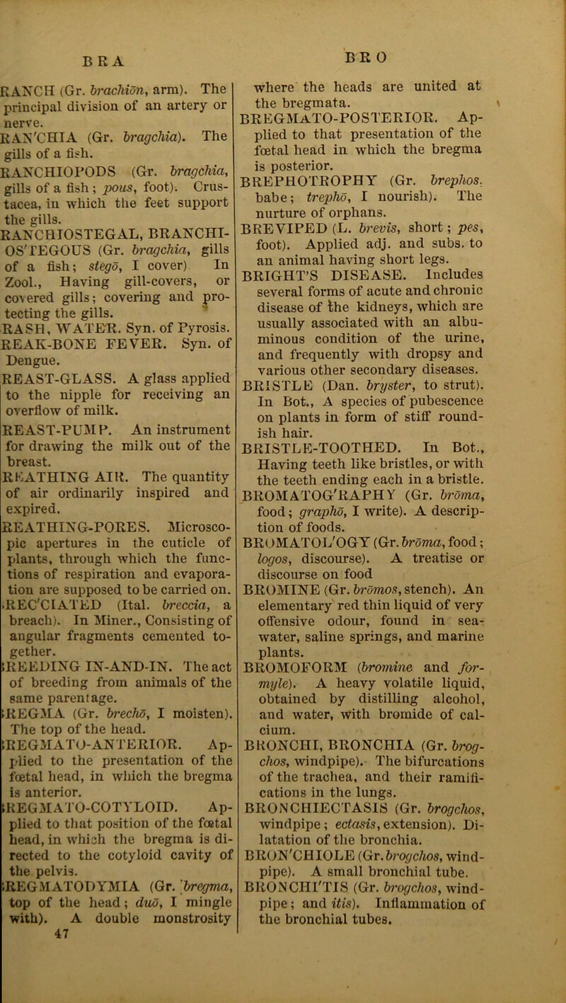 RANCH (Gr. brachion, arm). The principal division of an artery or nerve. RAN'CHIA (Gr. bragchia). The gills of a fish. RANCHIOPODS (Gr. bragchia, gills of a fish ; pous, foot). Crus- tacea, in which the feet support the gills. RANCHIOSTEGAL, BRANCHI- OS'TEGOUS (Gr. bragchia, gills of a fish; stego, I cover) In Zool., Having gill-covers, or covered gills; covering and pro- tecting the gills. RASH, WATER. Syn. of Pyrosis. REAK-BONE FEVER. Syn. of Dengue. REAST-GLASS. A glass applied to the nipple for receiving an overflow of milk. REAST-PUMP. An instrument for drawing the milk out of the breast. RKATHING AIR. The quantity of air ordinarily inspired and expired. REATHING-PORES. Microsco- pic apertures in the cuticle of plants, through which the func- tions of respiration and evapora- tion are supposed to be carried on. REC'CLATED (Ital. breccia, a breach). In Miner., Consisting of angular fragments cemented to- gether. (REEDING IN-AND-IN. The act of breeding from animals of the same parentage. .REGMA (Gr. brechd, I moisten). The top of the head. 1REGMATO-ANTERIOR. Ap- plied to the presentation of the foetal head, in which the bregma is anterior. (REG MATO-COTYLOID. Ap- plied to that position of the foetal head, in which the bregma is di- rected to the cotyloid cavity of the pelvis. iREGMATODYMIA (Gr. bregma, top of the head; duo, I mingle with). A double monstrosity 47 where the heads are united at the bregmata. BREGMATO-POSTERIOR. Ap- plied to that presentation of the foetal head in which the bregma is posterior. BREPHOTROPHY (Gr. brephos, babe; trepho, I nourish). The nurture of orphans. BREVIPED (L. brevis, short; pes, foot). Applied adj. and subs, to an animal having short legs. BRIGHT’S DISEASE. Includes several forms of acute and chronic disease of the kidneys, which are usually associated with an albu- minous condition of the urine, and frequently with dropsy and various other secondary diseases. BRISTLE (Dan. bryster, to strut). In Bot., A species of pubescence on plants in form of stiff round- ish hair. BRISTLE-TOOTHED. In Bot., Having teeth like bristles, or with the teeth ending each in a bristle. BROMATOG'RAPHY (Gr. broma, food; grapho, I write). A descrip- tion of foods. BROMATOL'OGY (Gr. broma, food; logos, discourse). A treatise or discourse on food BROMINE (Gr. brdmos, stench). An elementary red thin liquid of very offensive odour, found in sea- water, saline springs, and marine plants. BROMOFORM (bromine and for- myle). A heavy volatile liquid, obtained by distilling alcohol, and water, with bromide of cal- cium. BRONCHI, BRONCHIA (Gr. brog- chos, windpipe). The bifurcations of the trachea, and their ramifi- cations in the lungs. BRONCHIECTASIS (Gr. brogchos, windpipe ; ectasis, extension). Di- latation of the bronchia. BRON'CHIOLE (Gr. brogchos, wind- pipe). A small bronchial tube. BRONCIIl'TIS (Gr. brogchos, wind- pipe ; and itis). Inflammation of the bronchial tubes.