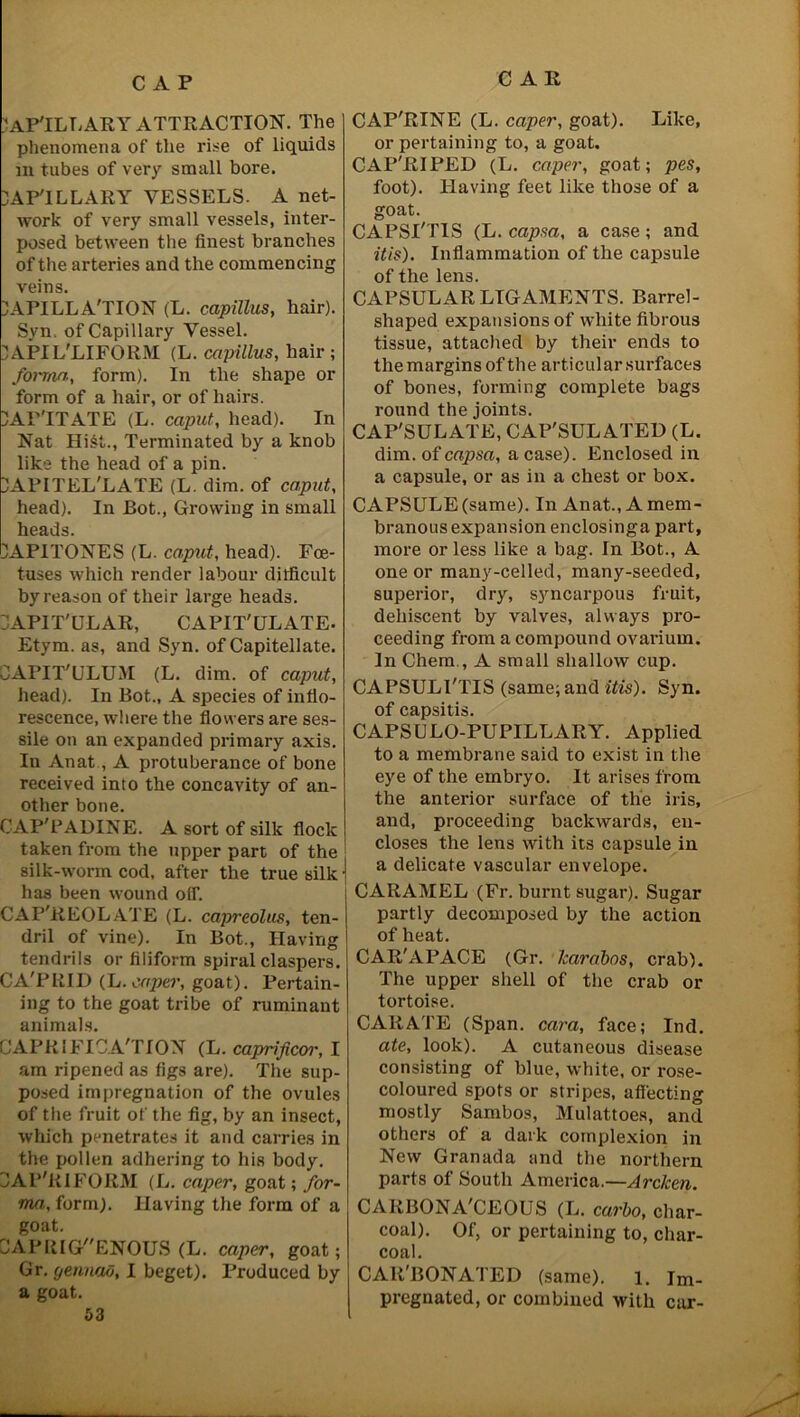 AP'ILLARY ATTRACTION. The phenomena of the ri.se of liquids in tubes of very small bore. DAP'ILLARY VESSELS- A net- work of very small vessels, inter- posed between the finest branches of the arteries and the commencing veins. LAPILLA'TION (L. capillus, hair). Svn, of Capillary Vessel. lAPIL'LIFORM (L. capillus, hair ; forma., form). In the shape or form of a hair, or of hairs. DAP'ITATE (L. caput, head). In Nat HiSt., Terminated by a knob like the head of a pin. LYPITEL'LATE (L. dim. of caput, head). In Bot., Growing in small heads. )APITONES (L. caput, head). Foe- tuses which render labour difficult by reason of their large heads. HAPIT'ULAR, CAPIT'ULATE. Etym. as, and Syn. of Capitellate. OAPIT'ULUM (L. dim. of caput, head). In Bot., A species of inflo- rescence, where the flowers are ses- sile on an expanded primary axis. In Anat , A protuberance of bone received into the concavity of an- other bone. CAP'PADINE. A sort of silk flock taken from the upper part of the silk-worm cod, after the true silk \ has been wound off. CAP'REOLATE (L. capreolus, ten- dril of vine). In Bot., Having tendrils or filiform spiral claspers. CA'PRJI) (L. caper, goat). Pertain- ing to the goat tribe of ruminant animals. CAPRIFICA'TION (L. caprificor, I am ripened as figs are). The sup- posed impregnation of the ovules of the fruit of the fig, by an insect, which penetrates it and carries in the pollen adhering to his body. JAP'RIFORM (L. caper, goat; for- ma., form). Having the form of a goat. OAPRIGENOUS (L. caper, goat; Gr. gennao, I beget). Produced by a goat. 53 CAP'RINE (L. caper, goat). Like, or pertaining to, a goat. CAP'RIPED (L. caper, goat; pes, foot). Having feet like those of a goat. CAPSI'TIS (L. capsa, a case; and itis). Inflammation of the capsule of the lens. CAPSULAR LIGAMENTS. Barrel- shaped expansions of white fibrous tissue, attached by their ends to the margins of the articular surfaces of bones, forming complete bags round the joints. C A P'S U LATE, CAP'SULATED (L. dim. of capsa, a case). Enclosed in a capsule, or as in a chest or box. CAPSULE (same). In Anat., A mem- branous expansion enclosinga part, more or less like a bag. In Bot., A one or many-celled, many-seeded, superior, dry, s)rncarpous fruit, dehiscent by valves, always pro- ceeding from a compound ovarium. In Chem., A small shallow cup. CAPSULI'TIS (same; and itis). Syn. of capsitis. CAPSULO-PUPILLARY. Applied to a membrane said to exist in the eye of the embryo. It arises from the anterior surface of the iris, and, proceeding backwards, en- closes the lens with its capsule in a delicate vascular envelope. CARAMEL (Fr. burnt sugar). Sugar partly decomposed by the action of heat. CAR'APACE (Gr. karabos, crab). The upper shell of the crab or tortoise. CAR ATE (Span, cara, face; Ind. ate, look). A cutaneous disease consisting of blue, white, or rose- coloured spots or stripes, affecting mostly Sambos, Mulattoes, and others of a dark complexion in New Granada and the northern parts of South America.—Arcken. CARBONA'CEOUS (L. carbo, char- coal). Of, or pertaining to, char- coal. CAlt'BONATED (same). 1. Im- pregnated, or combined with car-