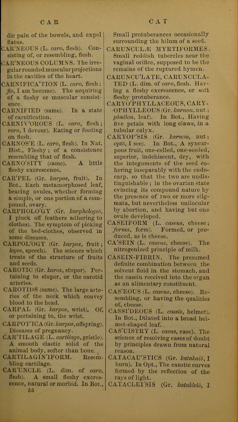 die pain of the bowels, and expel flatus. CAR'NEOUS (L. caro, flesh). Con- sisting of, or resembling, flesh. CAR'NEOUS COLUMNS. The irre- gular rounded muscular projections in the cavities of the heart. CARNIFICA'TION (L. caro, flesh; fio, I am become). The acquiring of a fleshy or muscular consist- ence. CARNIFIED (same). In a state of carnification. CARNIV'OROUS (L. caro, flesh; voro, I devour). Eating or feeding on flesh. CARNOS'E (L. caro, flesh). In Nat. Hist., Fleshy ; of a consistence resembling that of flesh. CARNO'SITY (same). A little fleshy excrescence. CAR'PEL (Gr. karpos, fruit). In Bot., Each metamorphosed leaf, hearing ovules, whether forming a simple, or one portion of a com- pound, ovary. CARPHOLO'GY (Gr. karphologed, I pluck off feathers adhering to clothes). The symptom of picking of the bed-clothes, observed in some diseases. CAKPOL'OGY (Gr. karpos, fruit; logos, speech). The science which treats of the structure of fruits and seeds. CAROTIC (Gr. karos, stupor). Per- taining to stupor, or the carotid arteries. CAROTIDS (same). The large arte- ries of the neck which convey blood to the head. CARPAL (Gr. karpos, wrist). Of, or pertaining to, the wrrist. CAR POT' ICA (Gr. karpos, offspring). Diseases of pregnancy. CAR'TILAGE (L. cartilago, gristle). A smooth elastic solid of the animal body, softer than bone. CARTIL AG I N'lFORM. Eesem- bling cartilage. CAli'UNCLE (L. dim. of caro, flesh). A small fleshy excres- cence, natural or morbid. In Bot., 55 Small protuberances occasionally surrounding the hilum of a seed. CARUNCUL.E MYRTIFORMES. Small reddish tubercles near the vaginal orifice, supposed to be the remains of the ruptured hymen. CAliUNCU'LATE, CARUNCULA- TED (L. dim. of caro, flesh. Hav- ing a fleshy excrescence, or soft fleshy protuberance. CARYO'PIIYLLACEOUS, CAEY- OPHYLLEOUS (Gr. karnon, nut; phullon, leaf). In Bot., Having five petals with long claws, in a tubular calyx. CARlrOP'SIS (Gr. karuon, nut; opto, I see). In Bot., A syncar- pous fruit, one-celled, one-seeded, superior, indehiscent, dry, with the integuments of the seed co- hering inseparably with the endo- carp, so that the two are undis- tinguishable ; in the ovarian state evincing its compound nature by the presence of two or more stig- mata, but nevertheless unilocular by abortion, and having but one ovule developed. CASEIFORM (L. caseus, cheese; forma, form). Formed, or pro- duced, as is cheese. CA'SEIN (L. caseus, cheese). The nitrogenized principle of milk. CASEIN-FIBRIN. The presumed definite combination between the solvent fluid in the stomach, and the casein received into the organ as an alimentary constituent. CAS'EOUS (L. caseus, cheese). Re- sembling, or having the qualities of, cheese. CASSI'DEOUS (L. cassis, helmet). In Bot., Dilated into a broad hel- met-shaped leaf. CAS'UISTRY (L. casus, case). The science of resolving cases of doubt by principles drawn from natural reason. CATACAU'STICS (Gr. katakaio, I burn). In Opt., The caustic curves formed by the reflection of the rays of light. CATACLEl'SIS (Gr. katakleio, I