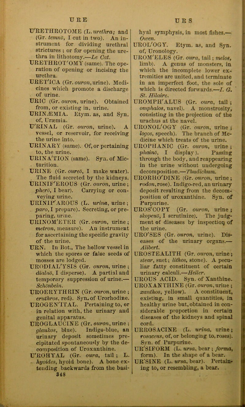 U'RETIIROTOME (L.urethra; and (Gr. temnv, I cut in two). An in- strument for dividing urethral strictures ; or for opening the ure- thra in lithotomy.—Le Cat. URETHROT'OMY (same). The ope- ration of opening or incising the urethra. URET'ICA (Gr. ouron, urine). Medi- cines which promote a discharge of urine. URIC (Gr. ouron, urine). Obtained from, or existing in, urine. URINiEMIA. Etym. as, and Syn. of, Uraemia. U'RINAL (Gr. ouron, urine). A vessel, or reservoir, for receiving the urine into. URINARY (same). Of, or pertaining to, the urine. URIN A'TION (same). Syn. of Mic- turition. URINE (Gr. oured, I make water). The fluid secreted by the kidneys. URINIF'EROUS (Gr. ouron, urine ; phero, I bear). Carryiug or con- veying urine. URINIP'AROUS (L. urina, urine; paro, I prepare). Secreting, or pre- paring, urine. URINOM'ETER (Gr. ouron, urine; metron, measure). An instrument for ascertaining the specific gravity of the urine. URN. In Bot., The hollow vessel in which the spores or false seeds of mosses are lodged. URODIAL'YSIS <Gr. ouron, urine ; dialuo, I disperse). A partial and temporary suppression of urine.— Schonbein. UROERYTHRIN (Gr. ouron, urine ; eruthros, red). Syn. of Urorhodine. UROGENITAL. Pertaining to, or in relation with, the urinary and genital apparatus. UROGLAUCINE (Gr. ouron, urine ; glaukos, blue). Indigo-blue, an urinary deposit sometimes pre- cipitated spontaneously by the de- composition of Uroxantliine. U'ROHYAL (Gr. oura, tail ; L. hyoides, hyoid bone). A bone ex- tending backwards from the basi- 348 hyal symphysis, in most fishes.— Owen. UROL'OGY. Etym. as, and Syn. of, Uronology. UROM'ELES (Gr. oura, tail; melos, limb). A genus of monsters, in which the incomplete lower ex- tremities are united, and terminate in an imperfect foot, the sole of which is directed forwards.—I. G. St. Hilaire. UROMPH'ALUS (Gr. oura, tail ; omphalos, navel). A monstrosity, consisting in the projection of the urachus at the navel. URONOL'OGY (Gr. ouron, urine ; logos, speech). The branch of Me- dicine which treats of the urine. UROPHANIC (Gr. ouron, urine ; pliaino, I display). Passing through the body, and reappearing in the urine without undergoing decomposition.—Thudichum. URORHO'DINE (Gr. ouron, urine; rodon,rose). Indigo-red, an urinary deposit resulting from the decom- position of uroxantliine. Syn. of Purpurine. UROS'COPY (Gr. ouron, urine ; skopeud, I scrutinize). The judg- ment of diseases by inspectioq of the urine. URO'SES (Gr. ouron, urine). Dis- eases of the urinary organs.— Alibert. UROSTEALITH (Gr. ouron, urine; stear, suet; lithos, stone). A pecu- liar fatty constituent of certain urinary calculi.—Heller. UROUS ACID. Syn. of Xanthine. UROXANTHINE (Gr. ouron, urine ; xanthos, yellow). A constituent, existing, in small quantities, in healthy urine but, obtained in con- siderable proportion in certain diseases of the kidneys and spinal cord. URROSACINE (L. urina, urine; rosaceus, of, or belonging to, roses). Syn. of Purpurine. UR'SIFORM (L. ursa, bear ; forma, form). In the shape of a bear. UR'SINE (L. ursa, bear). Pertain- ing to, or resembling, a bear.
