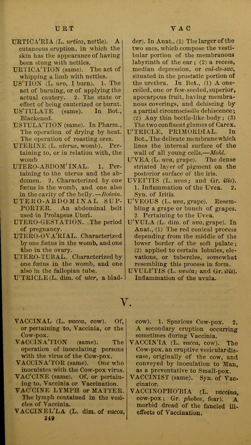URTICA'RIA (L. urtica, nettle). A cutaneous eruption, in which the skin has the appearance of having been stung with nettles. TJRTICA'TION (same). The act of whipping a limb with nettles. US'TION (L. uro, I burn). 1. The act of burning, or of applying the actual cautery. 2. The state or effect of being cauterized or burnt. US'TULATE (same). In Bot., Blackened. USTULA'TION (same). In Pharm., The operation of drying by heat. The operation of roasting ores. UTERINE (L. uterus, womb). Per- taining to, or in relation with, the womb UTERO-ABDOM' INAL. 1. Per- taining to the uterus and the ab- domen. 2. Characterized by one foetus in the womb, and one also in the cavity of the belly.—Boivin. UTERO-ABDOMINAL SUP- PORTER. An abdominal belt used in Prolapsus Uteri, UTERO-GESTATION. The period of pregnancy. UTERO-OVA'RIAL. Characterized by one foetus in the womb, and one also in the ovary. UTERO-TUBAL. Characterized by one foetus in the womb, and one also in the fallopian tube. U'TRICLE (L. dim. of uter, a blad- der). In Anat., (1) The larger of the two sacs, which compose the vesti- bular portion of the membranous labyrinth of the ear; (2) a recess, median depression, or cul-de-sac, situated in the prostatic portion of the urethra. In Bot., (1) A one- celled, one or few-seeded,superior, apocarpous fruit, having membra- nous coverings, and dehiscing by a partial circumscissile dehiscence; (2) Any thin bottle-like body ; (3) The two confluent glumes of Carex. U'TRICLE, PRIMORDIAL. In Bot., The delicate membrane which lines the internal surface of the wall of all young cells.—Mold. U'VEA (L. uva, grape). The dense striated layer of pigment on the posterior surface of the iris. UVEI'TIS (L.uvea; and Gr. itis). 1. Inflammation of the Uvea. 2. Syn. of Iritis. U'VEOUS (L. uva, grape). Resem- bling a grape or bunch of grapes. 2. Pertaining to the Uvea. U'VULA (L. dim. of uva, grape). In Anat., (1) The red conical process depending from the middle of the lower border of the soft palate; (2) applied to certain lobules, ele- vations, or tubercles, somewhat resembling this process in form. UVULl'TIS (L. uvula; and Gr. itis). Inflammation of the uvula. Y. VACCINAL (L. vacca, cow). Of, or pertaining to, Vaccinia, or the Cow-pox. V ACCINA'TION (same). The operation of inoculating persons with the virus of the Cow-pox. VACCINA'TOR (same). One who inoculates with the Cow-pox virus. YAC'CINE (same). Of, or pertain- ing to, Vaccinia or Vaccination. YAC'CINE LYMPH or MATTER. The lymph contained in the vesi- cles of Vaccinia. VACCINEL'LA (L. dim. of vacca, 349 cow). 1. Spurious Cow-pox. 2. A secondary eruption occurring sometimes during Vaccinia. VACCIN'IA (L. vacca, cow). The Cow-pox, an eruptive vesicular dis- ease, originally of the cow, and conveyed by inoculation to Man, as a preventative to Small-pox. VACCINIST (same). Syn. of Vac- cinator. VACCINOPHO'BIA (L. vaccina, cow-pox; Gr. phobos, fear). A morbid dread of the fancied ill- effects of Vaccination.
