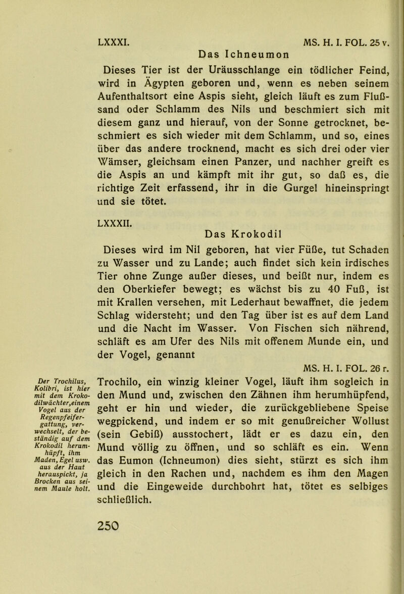 Der Trochilus, Kolibri, ist hier mit dem Kroko- dilwdchter,einem Vogel aas der Regenpfeifer- gattung, ver- wechselt, der be- stdndig auf dem Krokodil heram- hiipft, ihm Maden, Egel usw. aus der Haut herauspickt, ja Brocken aus sei- nem Maule holt. LXXXI. MS. H. I. FOL. 25 v. Das Ichneumon Dieses Tier ist der Urausschlange ein todlicher Feind, wird in Agypten geboren und, wenn es neben seinem Aufenthaltsort eine Aspis sieht, gleich lauft es zum FluC- sand Oder Schlamm des Nils und beschmiert sich mit diesem ganz und hierauf, von der Sonne getrocknet, be- schmiert es sich wieder mit dem Schlamm, und so, eines iiber das andere trocknend, macht es sich drei oder vier Wamser, gleichsam einen Panzer, und nachher greift es die Aspis an und kampft mit ihr gut, so daC es, die richtige Zeit erfassend, ihr in die Gurgel hineinspringt und sie totet. LXXXII. Das Krokodil Dieses wird im Nil geboren, hat vier Fufie, tut Schaden zu Wasser und zu Lande; auch findet sich kein irdisches Tier ohne Zunge auCer dieses, und beiCt nur, indem es den Oberkiefer bewegt; es wachst bis zu 40 FuD, ist mit Krallen versehen, mit Lederhaut bewaffnet, die jedem Schlag widersteht; und den Tag uber ist es auf dem Land und die Nacht im Wasser. Von Fischen sich nahrend, schlaft es am Ufer des Nils mit offenem Munde ein, und der Vogel, genannt MS. H. I. FOL. 26 r. Trochilo, ein winzig kleiner Vogel, lauft ihm sogleich in den Mund und, zwischen den Zahnen ihm herumhiipfend, geht er hin und wieder, die zuriickgebliebene Speise wegpickend, und indem er so mit genuDreicher Wollust (sein Gebifi) ausstochert, ladt er es dazu ein, den Mund vollig zu offnen, und so schlaft es ein. Wenn das Eumon (Ichneumon) dies sieht, sturzt es sich ihm gleich in den Rachen und, nachdem es ihm den Magen und die Eingeweide durchbohrt hat, totet es selbiges schliefilich.