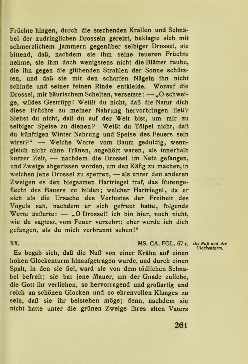 Friichte hingen, durch die stechenden Krallen und Schna- bel der zudringlichen Drosseln gereizt, beklagte sich mit schmerzlichem Jammern gegenuber selbiger Drossel, sie bittend, dafl, nachdem sie ihm seine teueren Friichte nehme, sie ihm doch wenigstens nicht die Blatter raube, die ihn gegen die gliihenden Strahlen der Sonne schiitz- ten, und daO sie mit den scharfen Nageln ihn nicht schinde und seiner feinen Rinde entkleide. Worauf die Drossel, mit baurischem Schelten, versetzte: —„0 schwei- ge, wildes Gestriipp! WeiCt du nicht, dafi die Natur dich diese Friichte zu meiner Nahrung hervorbringen lieC? Siehst du nicht, dafi du auf der Welt bist, um mir zu selbiger Speise zu dienen? Weifit du Tolpel nicht, dafi du kiinftigen Winter Nahrung und Speise des Feuers sein wirst?“ — Welche Worte vom Baum geduldig, wenn- gleich nicht ohne Tranen, angehort waren, als innerhalb kurzer Zeit, — nachdem die Drossel im Netz gefangen, undZweige abgerissen worden, um denKafig zu machen, in welchen jene Drossel zu sperren, — als unter den anderen Zweigen es den biegsamen Hartriegel traf, das Rutenge- flecht des Bauers zu bilden; welcher Hartriegel, da er sich als die Ursache des Verlustes der Freiheit des Vogels sah, nachdem er sich gefreut hatte, folgende Worte aufierte: — „0 Drossel! ich bin hier, noch nicht, wie du sagtest, vom Feuer verzehrt; eher werde ich dich gefangen, als du mich verbrannt sehen! XX. MS. CA. FOL. 67 r. DUNaJS und der Glockentarm. Es begab sich, dafi die Nufi von einer Krahe auf einen hohen Glockenturm hinaufgetragen wurde, und durch einen Spalt, in den sie fiel, ward sie von dem todlichen Schna- bel befreit; sie bat jene Mauer, um der Gnade zuliebe, die Gott ihr verliehen, so hervorragend und grofiartig und reich an schonen Glocken und so ehrenvollen Klanges zu sein, dafi sie ihr beistehen moge; denn, nachdem sie nicht hatte unter die griinen Zweige ihres alten Vaters