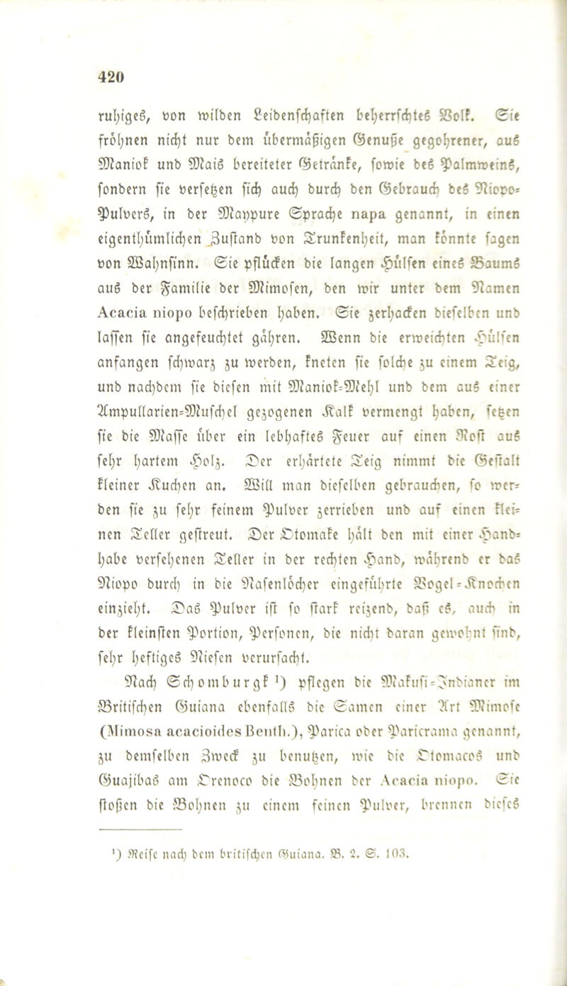 rul;igc6, »on wüben Seibenfdjaften beljerrfdjteS SSolf. Sie frol^nen nid^t nur bem vibermä^igcn (^enujje gegoljrener, au6 9}ianiüE unb 9)iaiö bereiteter ß5etränFe, fowte be§ ^almweinS, fonbern fie berfe^en ftc^ auc^ burc^ ben ©ebraud} beS 9?ioi>o= ^uluerä, in ber ?OZawpure (Sprache napa genannt, in einen eigentl;umlid}en ^u|Tanb non SrunEenl;eit, man fonnte fagen non S55al;nfinn. (Sie pflucfen bie langen ^ulfen eineS ffiaumS au6 ber Familie ber 50?imofen, ben mir unter bem Flamen Acacia niopo befd)rieben l;aben. ®ie jerljacfen biefelben unb taffen fie angefeud)tet gut^ren. SDBenn bie ermeiditen ^^■'ulfen anfangen fd)marj ju merben, fneten fie foldie ju einem Scig, unb nad)bem fie bicfen mit 50Janiof=2){et)t unb bem au§ einer 2fmpu((arien=9)hifd)e( gezogenen Äalf nermengt tjaben, fe^en fie bie SItaffe über ein lebljafteS Steuer auf einen Sioft au5 fel^r [;artem >^oIj. 5^er erl;ärtete Seig nimmt bie ©eüalt fteiner Jtud)en an. SBitI man biefelben gebrauchen, fo mer^ ben fie ju fel;r feinem ^>ulner jerrieben unb auf einen Rei- nen fJetter geftreut. Ser Stomnfe I;alt ben mit einer o3anb= Ijabe oerfel^enen 3!e(Ier in ber redeten .^lanb, mäfjrenb er ba§ 91iopo burd) in bie 9tafenl6d}er eingefubrtc S>ogeU.5?norbcn einjiel)t. Saö ^utoer ift fo ftarF reijenb, baf? c?, auch in ber fleinften ^''ortion, ^''erfonen, bie nidn baran gemobnt finb, fel;r I;eftigeö 9iiefcn oerurfadif. 9Jad) ®d)omburgf') pPegen bie ?)!)iaFufi = onbiancr im S3ritifd}en ©uiana ebenfattö bie (Samen einer ?trt fPiimofe (Mimosa acacioides Benlh.), ^Parica ober ^'aricrama genannt, ju bemfelben ßmec! ju benu^un, mie bie CtomacoS unb ©uajibaö am Srenoco bie 'JBoIinen ber Acacia niopo. Sic ftofien bie JSoI;nen ju einem feinen Puloer, brennen biejeS ') steife luid) bem britifeben ßJuiaiui. 2. ©. 103.