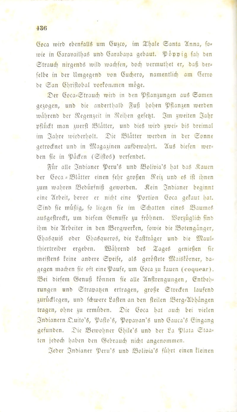 430 (Soca wirb ebenfadö um (Su^co, im S^ale Santa 2tnna, fo» wie in öaraonill^aö unb Garabapa gebaut. ^6»»ig fah ben Straud) nirgenbö wilb wacbfen, bod} uermutbet er, ba§ ber^ felbe in ber Umgegenb uon 6ud)ero, namentlicb am Gerro be San Gbriftobal uorPommcn möge. i^er Goca=Straud] wirb in ben Pflanzungen auS Samen gezogen, unb bie anbertbalb y^uft l)oben Pflanzen werben wal}renb ber flfegenzeit in .Peil}en gefegt. 5m Sa^r pflucft man zuerft ®latter, unb bieö wirb bi§ breimal im Sabre wicberbolt. ^Die Blatter werben in ber Senne getroefnet unb in Pfagazinen aufbewal)rt. “Hug biefen wer= ben fte in päcfcn (SifleS) üerfenbet. Sur ade Snbianer Peru’6 unb ®olwia’S b^^ Jlauen ber Gcca = S3lätter einen febr greflen 9?eiz unb cö ift ihnen zum wahren 93ebürfnifl geworben. .Rein Jnbianer beginnt eine 21rbeit, benor er nidit eine Portion Goca gefaut hat. Sinb fie muflig, fo liegen fie im Schatten eine» Saume? auögeflrecft, um biefem Gienuffc z^ fröhnen. Scrzüglich flnb ibm bie “llrbeiter in ben Sergwerfen, fowie bie Sotengangcr, Gl)a?guiö ober Gha?gueroö, bie 5?afltrdger unb bie PlauU tbiertreiber ergeben. SBäbrenb be? Sage? genießen fie meiflen? feine anbere Speife, al? gerodete Piaisförner, ba= gegen machen fie oft einePaufe, um Goca zu fauen (coquear). Sei biefem ©enuf? fönnen fie ade ‘ilnflrengungcn, Gntbch» tungen unb Strapazen ertragen, grofle Streifen laufenb Zuruiflcgen, unb fchwere Üaflen an ben ftcilcn Serge'Jlbbängen tragen, ohne z» ermuben. Sic Goca hat auch bei fielen Snbianern S.uito’ö, Paflo'ö, Popanan'? unb Gauca'? Gingang gefunben. Sie Sewobner Gbile'6 unb ber Üa plata Staa= ten iebodi herben ben ©ebraudt nicht angenommen. Seber Subianer peru'? unb Solifia'? fuhrt einen fleincn