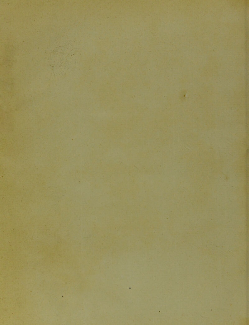 V . > . V j -* • / ^ ■ '■'V V .• • -. V* ^ '. . V ^ . , 4 «V \ r