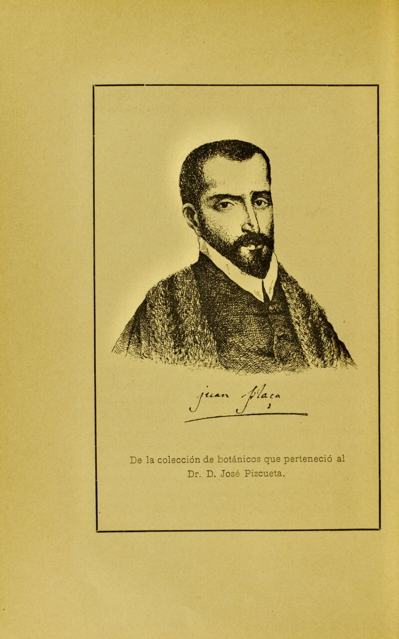 De la colección de botánicos que perteneció al Dr. D. José Pizcueta.