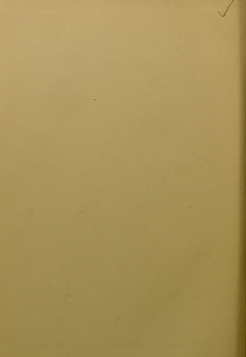 / / /