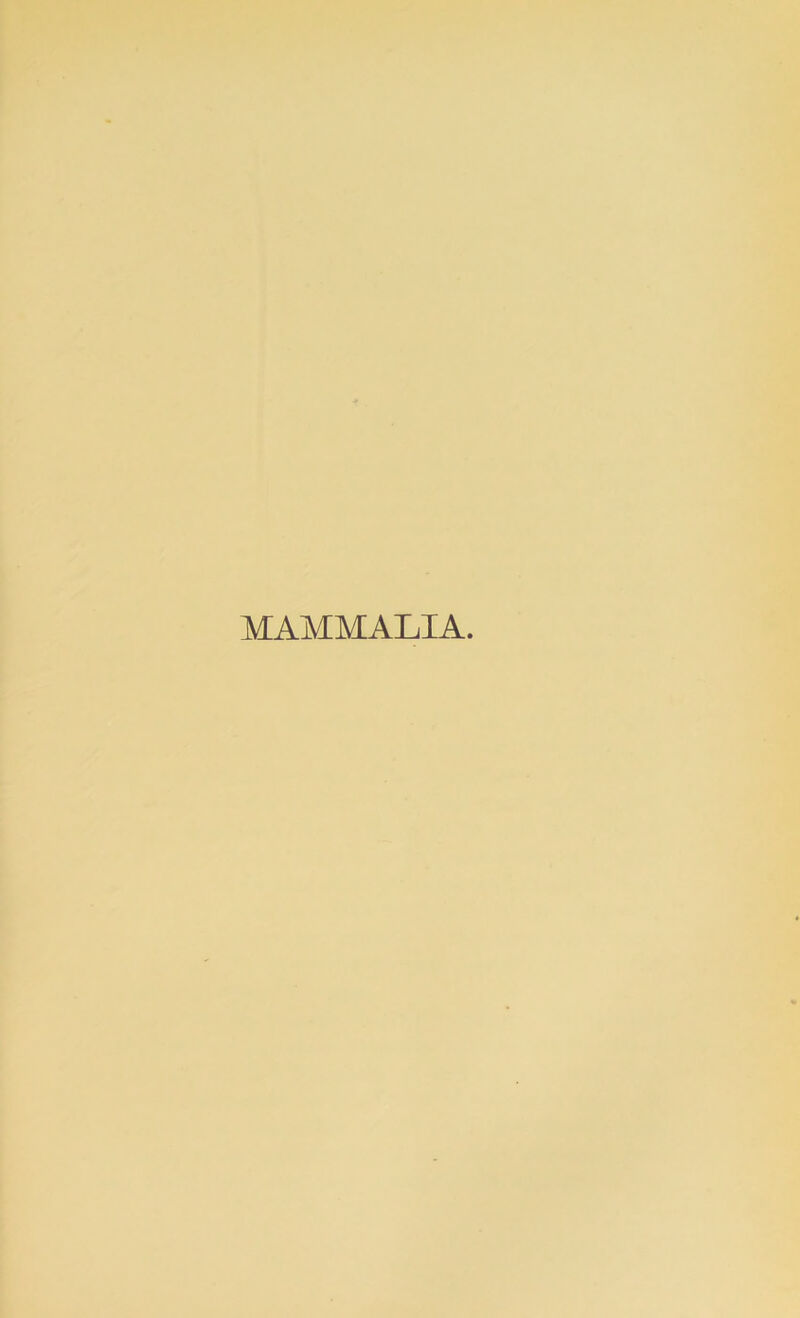 MAMMALIA.