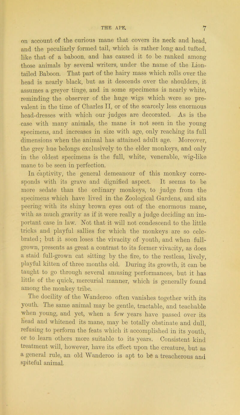 on account of the curious mane that covers its neck and head, and the peculiarly formed tail, which is rather long and tufted, like that of a baboon, and has caused it to be ranked among those animals by several writers, under the name of the Lion- tailed Baboon. That part of the hairy mass which rolls over the head is nearly black, but as it descends over the shoulders, it assumes a greyer tinge, and in some specimens is nearly white, reminding the observer of the huge wigs which were so pre- valent in the time of Charles II, or of the scarcely less enormous head-dresses with which our judges are decorated. As is the case with many animals, the mane is not seen in the young specimens, and increases in size with age, only reaching its full dimensions when the animal has attained adult age. Moreover, the grey hue belongs exclusively to the elder monkeys, and only in the oldest specimens is the full, white, venerable, wig-like mane to be seen in perfection. In captivity, the general demeanour of this monkey corre- sponds with its grave and dignified aspect. It seems to be more sedate than the ordinary monkeys, to judge from the specimens which have lived in the Zoological Gardens, and sits peering with its shiny brown eyes out of the enormous mane, with as much gravity as if it were really a judge deciding an im- portant case in law. Not that it will not condescend to the little tricks and playful sallies for which the monkeys are so cele- brated ; but it soon loses the vivacity of youth, and when full- grown, presents as great a contrast to its former vivacity, as does a staid full-grown cat sitting by the fire, to the restless, lively, playful kitten of three months old. During its growth, it can be taught to go through several amusing performances, but it has little of the quick, mercurial manner, which is generally found among the monkey tribe. Die docility of the Wanderoo often vanishes together with its youth. The same animal may be gentle, tractable, and teachable when young, and yet, when a few years have passed over its head and whitened its mane, may be totally obstinate and dull, refusing to perform the feats which it accomplished in its youth, or to learn others more suitable to its years. Consistent kind treatment will, however, have its effect upon the creature, but as a general rule, an old AVanderoo is apt to be a treacherous and spiteful animal