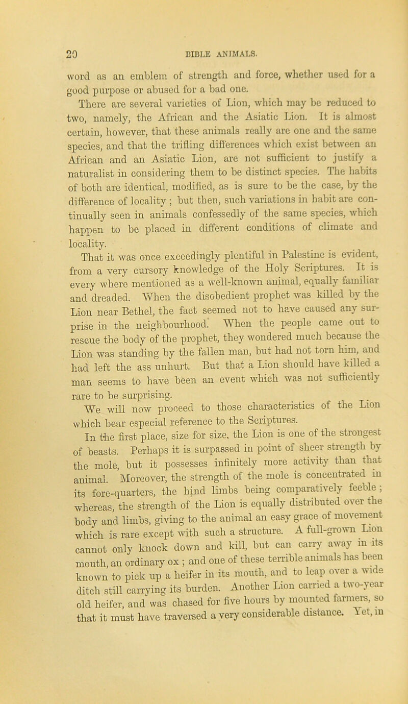 word as an emblem of strength and force, whether used for a good purpose or abused for a bad one. There are several varieties of Lion, which may be reduced to two, namely, the African and the Asiatic Lion. It is almost certain, however, that these animals really are one and the same species, and that the trifling differences which exist between an African and an Asiatic Lion, are not sufficient to justify a naturalist in considering them to be distinct species. The habits of both are identical, modified, as is sure to be the case, by the difference of locality ; but then, such variations in habit are con- tinually seen in animals confessedly of the same species, which happen to be placed in different conditions of climate and locality. That it was once exceedingly plentiful in Palestine is evident, from a very cursory knowledge of the Holy Scriptures. It is every where mentioned as a well-known animal, equally familiar and dreaded. When the disobedient prophet was killed by the Lion near Bethel, the fact seemed not to have caused any sur- prise in the neighbourhood. When the people came out to rescue the body of the prophet, they wondered much because the Lion was standing by the fallen man, but had not torn him, and had left the ass unhurt. But that a Lion should have killed a man seems to have been an event which was not sufficiently rare to be surprising. We will now proceed to those characteristics of the Lion which bear especial reference to the Scriptures. In the first place, size for size, the Lion is one of the strongest of beasts. Perhaps it is surpassed in point of sheer strength by the mole, but it possesses infinitely more activity than that animal. Moreover, the strength of the mole is concentrated in its fore-quarters, the hind limbs being comparatively feeble; whereas, the strength of the Lion is equally distributed over the body and limbs, giving to the animal an easy grace of movement which is rare except with such a structure. A full-grown Lion cannot only knock down and kill, but can carry away in its mouth, an ordinary ox ; and one of these terrible animals has been known to pick up a heifer in its mouth, and to leap over a wide ditch still carrying its burden. Another Lion carried a two-year old heifer, and was chased for five hours by mounted farmers, so that it must have traversed a very considerable distance. \ et, in