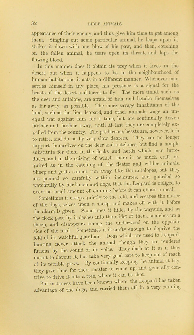 appearance of their enemy, and thus give him time to get among them. Singling out some particular animal, he leaps upon it, strikes it down with one blow of his paw, and then, couching on the fallen animal, he tears open its throat, and laps the flowing blood. In this manner does it obtain its prey when it lives in the desert, but when it happens to be in the neighbourhood of human habitations, it acts in a different manner. Whenever man settles himself in any place, his presence ls a signal for the beasts of the desert and forest to fly. The more timid, such as the deer and antelope, are afraid of him, and betake themselves as far away as possible. The more savage inhabitants of the land, such as the lion, leopard, and other animals, wage an un- equal war against him for a time, but are continually driven farther and farther away, until at last they are completely ex- pelled from the country. The predaceous beasts are, however, loth to retire, and do so by very slow degrees. They can no longer support themselves on the deer and antelopes, but find a simple substitute for them in the flocks and herds which man intro- duces, and in the seizing of which there is as much craft i e- quired as in the catching of the fleeter and wilder annuals. Sheep and goats cannot run away like the antelopes, but the} are penned so carefully within inclosures, aud guaided so watchfully by herdsmen and dogs, that the Leopard is obliged to exert no small amount of cunning before it can obtain a meal. Sometimes it creeps quietly to the told, and escapes the notice of the dogs, seizes upon a sheep, and makes off with it before the alarm is given. Sometimes it hides by the wayside, and as the flock pass by it dashes into the midst of them, snatches up a sheep, and disappears among the underwood on the opposite side of the road. Sometimes it is crafty enough to deprive the fold of its watchful guardian. Dogs which are used to Leopard- hunting never attack the animal, though they are rendered furious by the sound of its voice. They dash at it as if they meant to devour it, but take very good care to keep out of reach of its terrible paws. By continually keeping the animal at bay, they give time for their master to come up, and generally con- trive to drive it into a tree, where it can be shot. But instances have been known where the Leopard lias taken advantage of the dogs, and carried them off m a very cunning