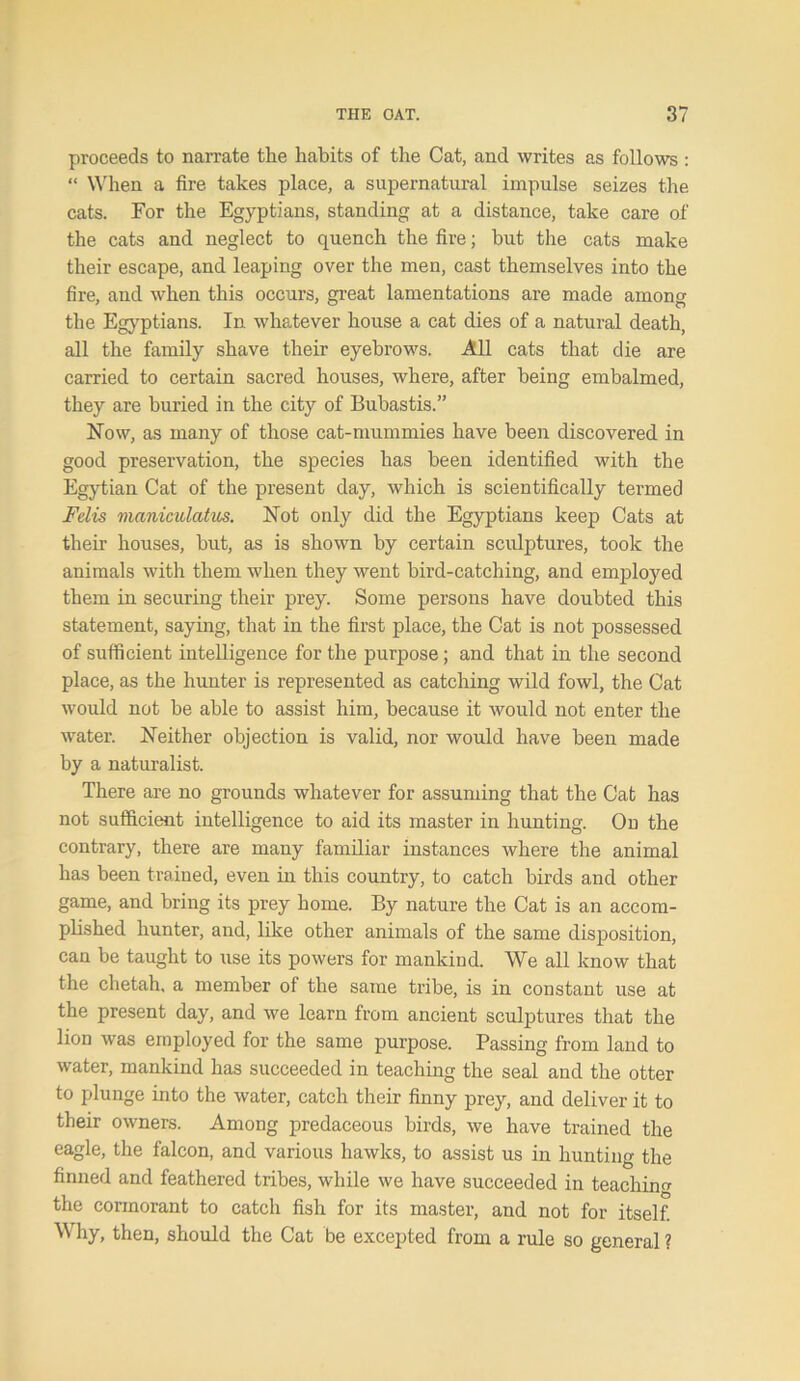 proceeds to narrate the habits of the Cat, and writes as follows : “ When a fire takes place, a supernatural impulse seizes the cats. For the Egyptians, standing at a distance, take care of the cats and neglect to quench the fire; but the cats make their escape, and leaping over the men, cast themselves into the fire, and when this occurs, great lamentations are made among the Egyptians. In whatever house a cat dies of a natural death, all the family shave their eyebrows. All cats that die are carried to certain sacred houses, where, after being embalmed, they are buried in the city of Bubastis.” Now, as many of those cat-mummies have been discovered in good preservation, the species has been identified with the Egytian Cat of the present day, which is scientifically termed Felis maniculatus. Not only did the Egyptians keep Cats at their houses, but, as is shown by certain sculptures, took the animals with them when they went bird-catching, and employed them in securing their prey. Some persons have doubted this statement, saying, that in the first place, the Cat is not possessed of sufficient intelligence for the purpose; and that in the second place, as the hunter is represented as catching wild fowl, the Cat would not be able to assist him, because it would not enter the water. Neither objection is valid, nor would have been made by a naturalist. There are no grounds whatever for assuming that the Cat has not sufficient intelligence to aid its master in hunting. On the contrary, there are many familiar instances where the animal has been trained, even in this country, to catch birds and other game, and bring its prey home. By nature the Cat is an accom- plished hunter, and, like other animals of the same disposition, can be taught to use its powers for mankind. We all know that the chetah, a member of the same tribe, is in constant use at the present day, and we learn from ancient sculptures that the lion was employed for the same purpose. Passing from land to water, mankind has succeeded in teaching the seal and the otter to plunge into the water, catch their finny prey, and deliver it to their owners. Among predaceous birds, we have trained the eagle, the falcon, and various hawks, to assist us in hunting the finned and feathered tribes, while we have succeeded in teaching the cormorant to catch fish for its master, and not for itself. Why, then, should the Cat be excepted from a rule so general ?