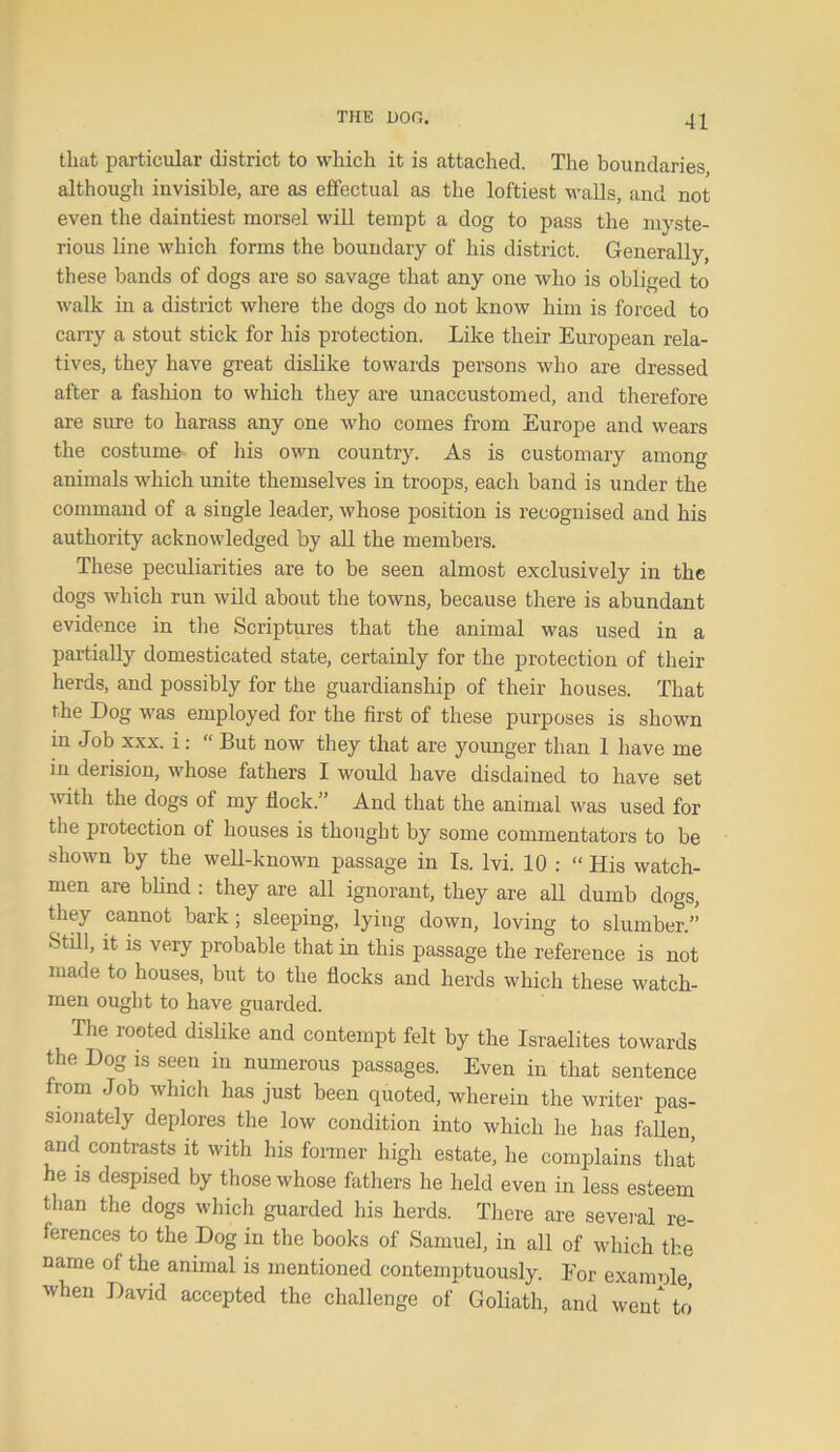 that particular district to which it is attached. The boundaries although invisible, are as effectual as the loftiest walls, and not even the daintiest morsel will tempt a dog to pass the myste- rious line which forms the boundary of his district. Generally, these bands of dogs are so savage that any one who is obliged to walk in a district where the dogs do not know him is forced to carry a stout stick for his protection. Like their European rela- tives, they have great dislike towards persons who are dressed after a fashion to which they are unaccustomed, and therefore are sure to harass any one who comes from Europe and wears the costume of his own country. As is customary among animals which unite themselves in troops, each band is under the command of a single leader, whose position is recognised and his authority acknowledged by all the members. These peculiarities are to be seen almost exclusively in the dogs which run wild about the towns, because there is abundant evidence in the Scriptures that the animal was used in a partially domesticated state, certainly for the protection of their herds, and possibly for the guardianship of their houses. That the Dog was employed for the first of these purposes is shown in Job xxx. i: “ But now they that are younger than 1 have me in derision, whose fathers I would have disdained to have set with the dogs of my flock.” And that the animal was used for the protection of houses is thought by some commentators to be shown by the well-known passage in Is. lvi. 10 : “ His watch- men are blind : they are all ignorant, they are all dumb dogs, they cannot bark; sleeping, lying down, loving to slumber.” Still, it is very probable that in this passage the reference is not made to houses, but to the flocks and herds which these watch- men ought to have guarded. The rooted dislike and contempt felt by the Israelites towards the Dog is seen in numerous passages. Even in that sentence from Job which has just been quoted, wherein the writer pas- sionately deplores the low condition into which he has fallen, and contrasts it with his former high estate, he complains that he is despised by those whose fathers he held even in less esteem than the dogs which guarded his herds. There are several re- ferences to the Dog in the books of Samuel, in all of which the name of the animal is mentioned contemptuously. Eor examnle when David accepted the challenge of Goliath, and went to