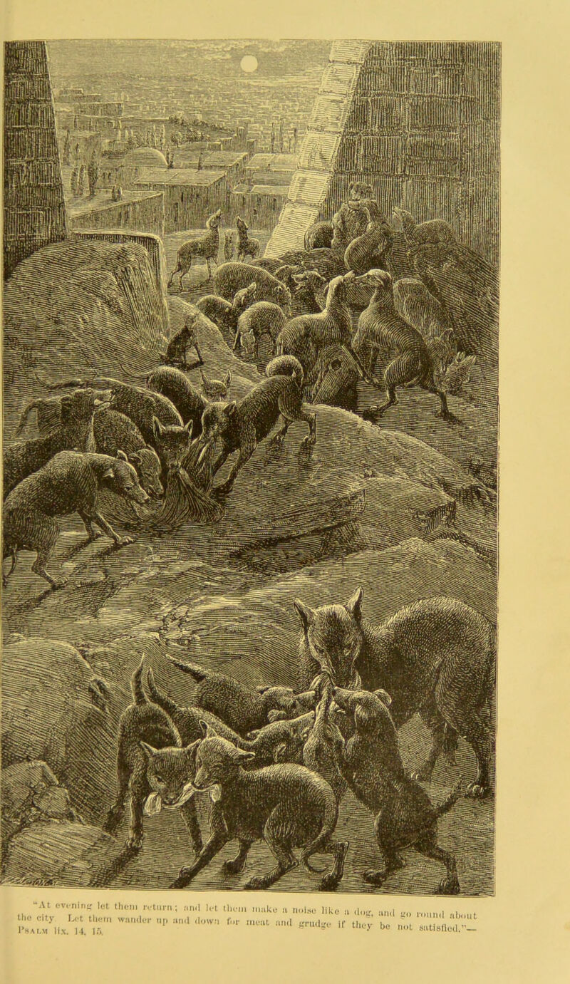 *At evening let them return; nml let the city Let them wander up and down Psalm lix. 14, 15. them make a noise like a dog, for meat and grudge if they and go round about be not satisfied.—