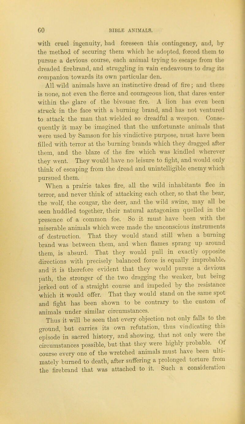 with cruel ingenuity, had foreseen this contingency, and, by the method of securing them which he adopted, forced them to pursue a devious course, each animal trying to escape from the dreaded firebrand, and struggling in vain endeavours to drag its companion towards its own particular den. All wild animals have an instinctive dread of fire; and there is none, not even the fierce and courageous lion, that dares -enter within the glare of the bivouac fire. A lion has even been struck in the face with a burning brand, and has not ventured to attack the man that wielded so dreadful a weapon. Conse- quently it may be imagined that the unfortunate animals that were used by Samson for his vindictive purpose, must have been filled with terror at the burning brands which they dragged after them, and the blaze of the fire which was kindled wherever they went. They would have no leisure to fight, and would only think of escaping from the dread and unintelligible enemy which pursued them. When a prairie takes fire, all the wild inhabitants flee in terror, and never think of attacking each other, so that the bear, the wolf, the cougar, the deer, and the wild swine, may all be seen huddled together, their natural antagonism quelled in the presence of a common foe. So it must have been with the miserable animals which were made the unconscious instruments of destruction. That they would stand still when a burning brand was between them, and when flames sprang up around them, is absurd. That they would pull in exactly opposite directions with precisely balanced force is equally improbable, and it is therefore evident that they would pursue a devious path, the stronger of the two dragging the weaker, but being jerked out of a straight course and impeded by the resistance which it would offer. That they would stand on the same spot and fight has been shown to be contrary to the custom of animals under similar circumstances. Thus it will be seen that every objection not only falls to the ground, but carries its own refutation, thus vindicating this episode in sacred history, and showing, that not only were the chcumstances possible, but that they were highly probable. Of course every one of the wretched annuals must have been ulti- mately burned to death, after suffering a prolonged torture from the firebrand that was attached to it. Such a consideration