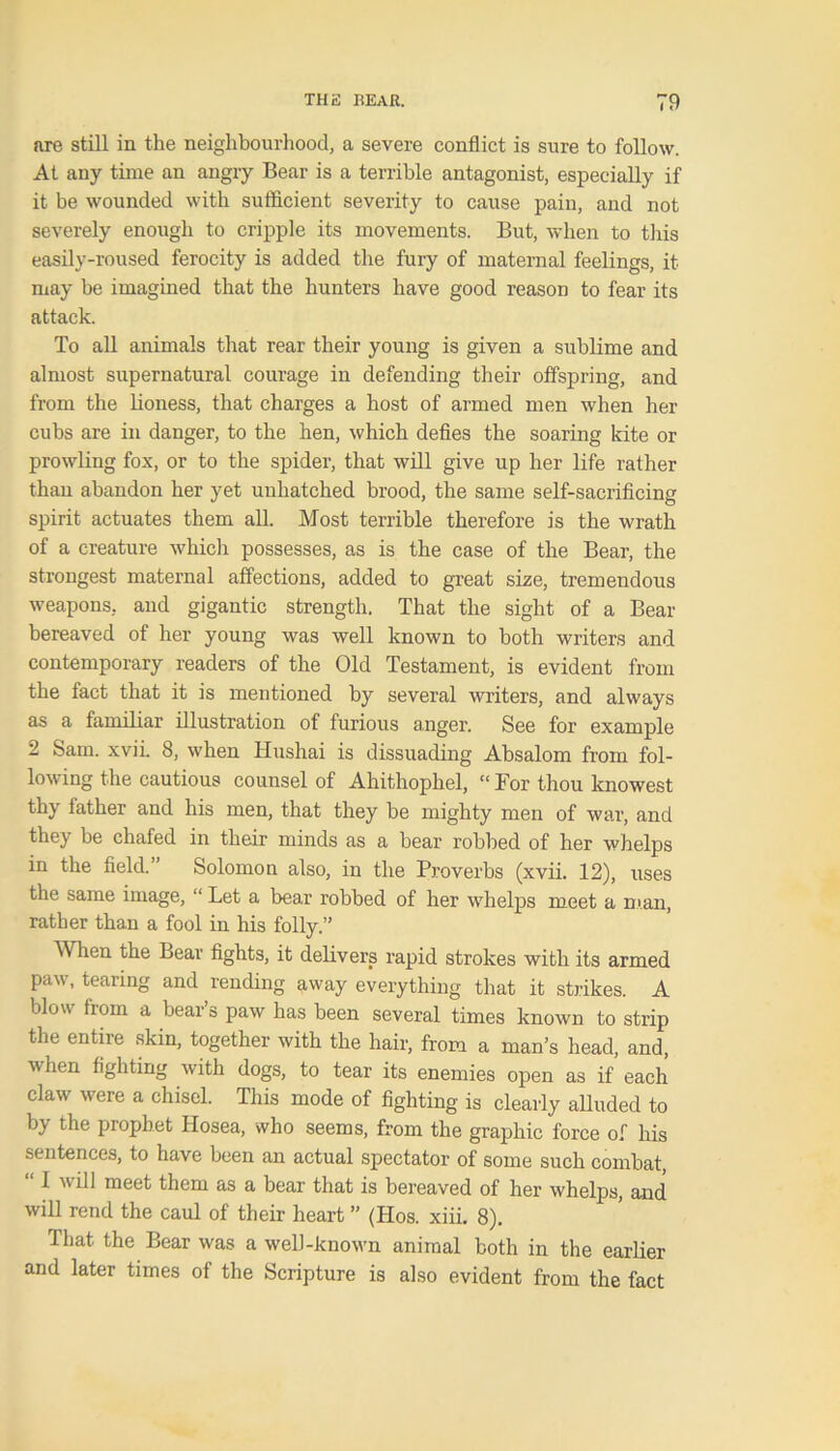are still in the neighbourhood, a severe conflict is sure to follow. At any time an angry Bear is a terrible antagonist, especially if it be wounded with sufficient severity to cause pain, and not severely enough to cripple its movements. But, when to this easily-roused ferocity is added the fury of maternal feelings, it may be imagined that the hunters have good reason to fear its attack. To all animals that rear their young is given a sublime and almost supernatural courage in defending their offspring, and from the lioness, that charges a host of armed men when her cubs are in danger, to the hen, which defies the soaring kite or prowling fox, or to the spider, that will give up her life rather than abandon her yet unhatched brood, the same self-sacrificing spirit actuates them all. Most terrible therefore is the wrath of a creature which possesses, as is the case of the Bear, the strongest maternal affections, added to great size, tremendous weapons, and gigantic strength. That the sight of a Bear bereaved of her young was well known to both writers and contemporary readers of the Old Testament, is evident from the fact that it is mentioned by several writers, and always as a familiar illustration of furious anger. See for example 2 Sam. xvii. 8, when Hushai is dissuading Absalom from fol- lowing the cautious couusel of Ahithophel, “ For thou knowest thy father and his men, that they be mighty men of war, and they be chafed in their minds as a bear robbed of her whelps in the field.” Solomon also, in the Proverbs (xvii. 12), uses the same image, “ Let a bear robbed of her whelps meet a man, rather than a fool in his folly.” When the Bear fights, it delivers rapid strokes with its armed paw, tearing and rending away everything that it strikes. A blow from a bear’s paw has been several times known to strip the entire skin, together with the hair, from a man’s head, and, when fighting with dogs, to tear its enemies open as if each claw were a chisel. This mode of fighting is clearly alluded to by the prophet Hosea, who seems, from the graphic force of his sentences, to have been an actual spectator of some such combat, 1 will meet them as a bear that is bereaved of her whelps, and will rend the caul of their heart ” (Hos. xiii. 8). That the Bear was a well-known animal both in the earlier and later times of the Scripture is also evident from the fact