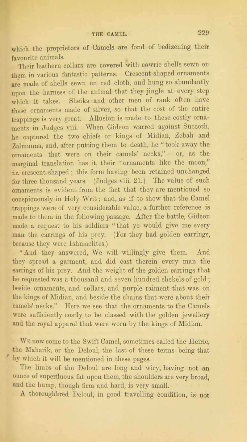 which the proprietors of Camels are fond of bedizening their favourite animals. Their leathern collars are covered with cowrie shells sewn on them in various fantastic patterns. Crescent-shaped ornaments are made of shells sewn on red cloth, and hung so abundantly upon the harness of the animal that they jingle at every step which it takes. Sheiks and other men of rank often have these ornaments made of silver, so that the cost of the entire trappings is very great. Allusion is made to these costly orna- ments in Judges viii. When Gideon warred against Succoth, he captured the two chiefs or kings of Midian, Zebah and Zalmunna, and, after putting them to death, he “ took away the ornaments that were on their camels’ necks,” — or, as the marginal translation has it, their “ornaments like the moon,” i.e. crescent-shaped ; this form having been retained unchanged for three thousand years. (Judges viii. 21.) The value of such ornaments is evident from the fact that they are mentioned so conspicuously in Holy Writ; and, as if to show that the Camel trappings were of very considerable value, a further reference is made to them in the following passage. After the battle, Gideon made a request to his soldiers “ that ye would give me every man the earrings of his prey. (For they had golden earrings, because they were Ishmaelites.) “And they answered, We will willingly give them. And they spread a garment, and did cast therein every man the earrings of his prey. And the weight of the golden earrings that he requested was a thousand and seven hundred shekels of gold; beside ornaments, and collars, and purple raiment that was on the kings of Midian, and beside the chains that were about their camels’ necks.” Here we see that the ornaments to the Camels were sufficiently costly to be classed with the golden jewellery and the royal apparel that were worn by the kings of Midian. We now come to the Swift Camel, sometimes called the Heirie, the Maharik, or the Deloul, the last of these terms being that by which it will be mentioned in these pages. The limbs of the Deloul are long and wiry, having not an ounce of superfluous fat upon them, the shoulders are very broad, and the hump, though firm and hard, is very small. A thoroughbred Deloul, in good travelling condition, is not