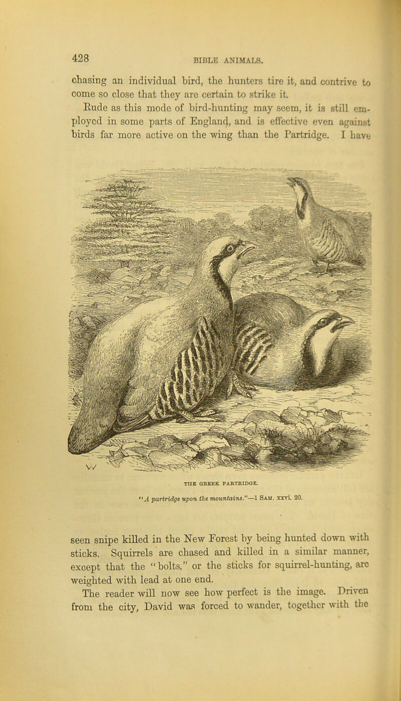 chasing an individual bird, the hunters tire it, and contrive to come so close that they are certain to strike it. Rude as this mode of bird-hunting may seem, it is still em- ployed in some parts of England, and Is effective even against birds far more active on the wing than the Partridge. I have seen snipe killed in the New Forest by being hunted down with sticks. Squirrels are chased and killed in a similar manner, except that the “bolts,” or the sticks for squirrel-hunting, arc weighted with lead at one end. The reader will now see how perfect is the image. Driven from the city, David was forced to wander, together with the
