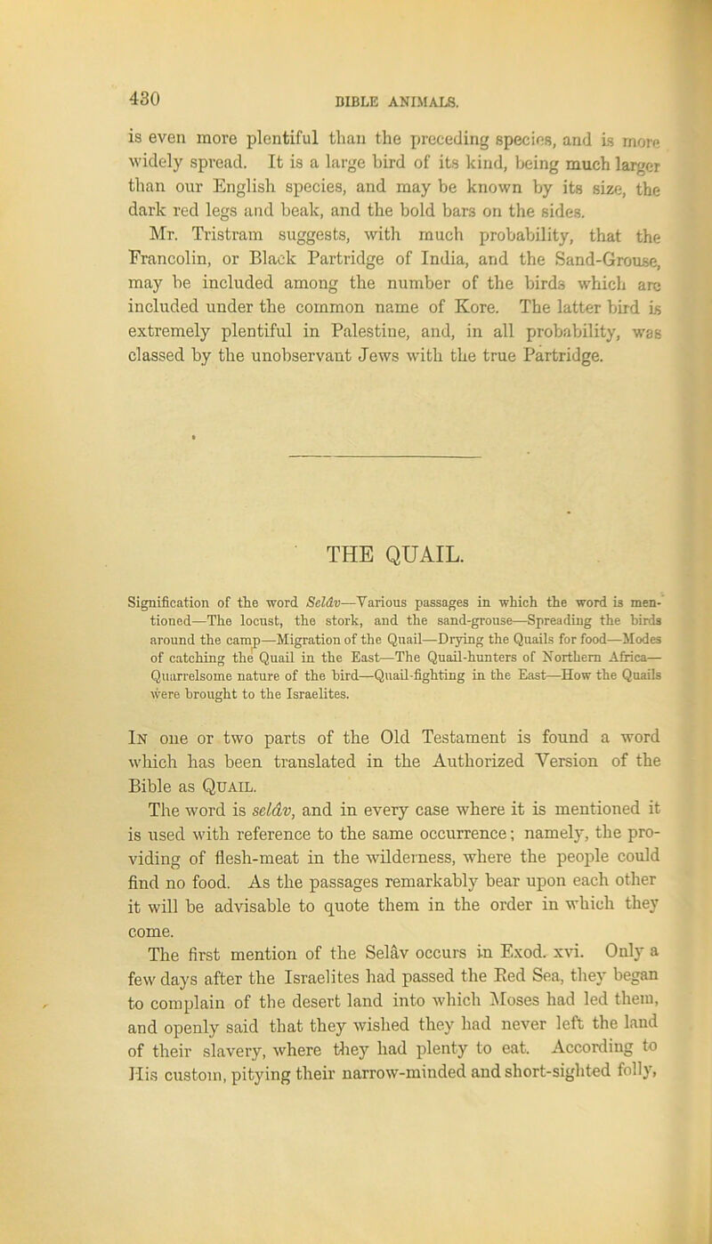 is even more plentiful than the preceding species, and Is more widely spread. It is a large bird of its kind, being much larger than our English species, and may be known by its size, the dark red legs and beak, and the bold bars on the sides. Mr. Tristram suggests, with much probability, that the Erancolin, or Black Partridge of India, and the Sand-Grouse, may be included among the number of the birds which are included under the common name of Kore. The latter bird is extremely plentiful in Palestine, and, in all probability, was classed by the unobservant Jews with the true Partridge. THE QUAIL. Signification of tlie word Seldv—Various passages in which the word is men- tioned—The locust, the stork, and the sand-grouse—Spreading the birds around the camp—Migration of the Quail—Drying the Quails for food—Modes of catching the Quail in the East—The Quail-hunters of Northern Africa— Quarrelsome nature of the bird—Quail-fighting in the East—How the Quails were brought to the Israelites. In one or two parts of the Old Testament is found a word which has been translated in the Authorized Version of the Bible as Quail. The word is seldv, and in every case where it is mentioned it is used with reference to the same occurrence; namely, the pro- viding of flesh-meat in the wilderness, where the people could find no food. As the passages remarkably bear upon each other it will be advisable to quote them in the order in which they come. The first mention of the Selav occurs in Exod. xvi. Only a few days after the Israelites had passed the Bed Sea, they began to complain of the desert land into which Moses had led them, and openly said that they wished they had never left the land of their slavery, where they had plenty to eat. According to His custom, pitying their narrow-minded and short-sighted folly.