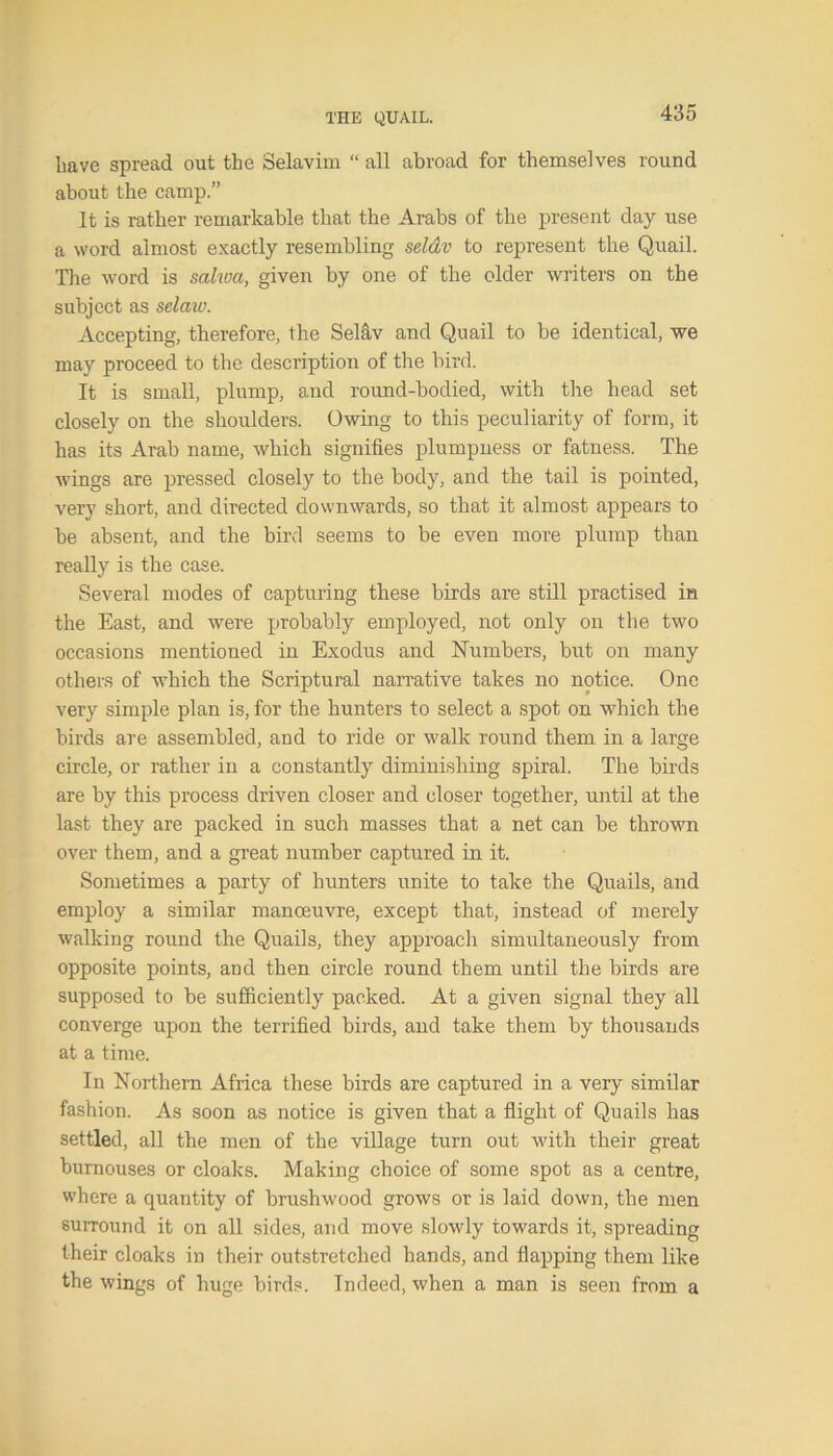 have spread out the Selavim “ all abroad for themselves round about the camp.” It is rather remarkable that the Arabs of the present day use a word almost exactly resembling seldv to represent the Quail. The word is saliva, given by one of the older writers on the subject as selaw. Accepting, therefore, the Selav and Quail to be identical, we may proceed to the description of the bird. It is small, plump, and round-bodied, with the head set closely on the shoulders. Owing to this peculiarity of form, it has its Arab name, which signifies plumpness or fatness. The wings are pressed closely to the body, and the tail is pointed, very short, and directed downwards, so that it almost appears to be absent, and the bird seems to be even more plump than really is the case. Several modes of capturing these birds are still practised in the East, and were probably employed, not only on the two occasions mentioned in Exodus and Numbers, but on many others of which the Scriptural narrative takes no notice. One very simple plan is, for the hunters to select a spot on which the birds are assembled, and to ride or walk round them in a large circle, or rather in a constantly diminishing spiral. The birds are by this process driven closer and closer together, until at the last they are packed in such masses that a net can be thrown over them, and a great number captured in it. Sometimes a party of hunters unite to take the Quails, and employ a similar manoeuvre, except that, instead of merely walking round the Quails, they approach simultaneously from opposite points, and then circle round them until the birds are supposed to be sufficiently packed. At a given signal they all converge upon the terrified birds, and take them by thousands at a time. In Northern Africa these birds are captured in a very similar fashion. As soon as notice is given that a flight of Quails has settled, all the men of the village turn out with their great burnouses or cloaks. Making choice of some spot as a centre, where a quantity of brushwood grows or is laid down, the men surround it on all sides, and move slowly towards it, spreading their cloaks in their outstretched hands, and flapping them like the wings of huge birds. Indeed, when a man is seen from a