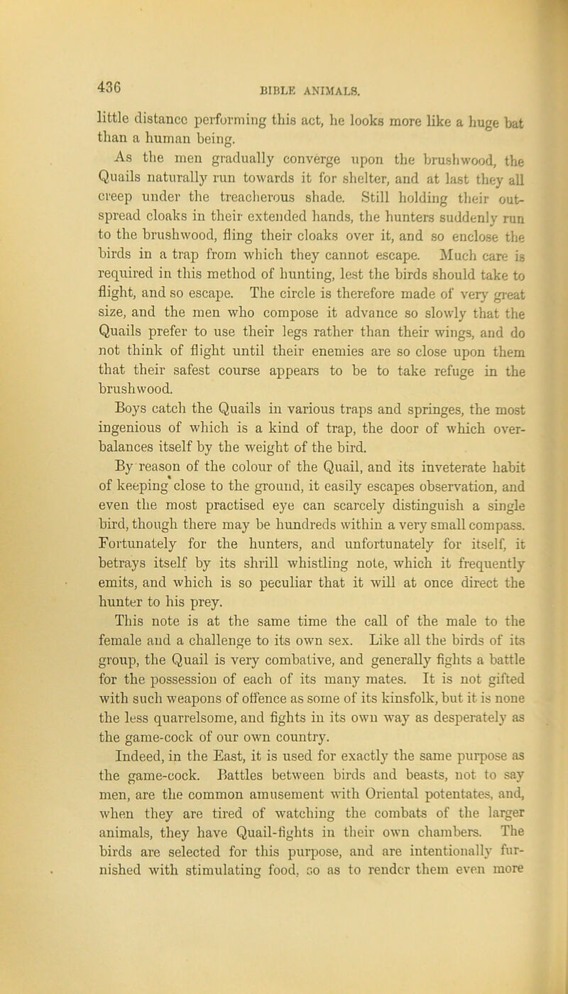 little distance performing this act, he looks more like a huge bat than a human being. As the men gradually converge upon the brushwood, the Quails naturally run towards it for shelter, and at last they all creep under the treacherous shade. Still holding their out- spread cloaks in their extended hands, the hunters suddenly run to the brushwood, fling their cloaks over it, and so enclose the birds in a trap from which they cannot escape. Much care is required in this method of hunting, lest the birds should take to flight, and so escape. The circle is therefore made of very great size, and the men who compose it advance so slowly that the Quails prefer to use their legs rather than their wings, and do not think of flight until their enemies are so close upon them that their safest course appears to be to take refuge in the brushwood. Boys catch the Quails in various traps and springes, the most ingenious of which is a kind of trap, the door of which over- balances itself by the weight of the bird. By reason of the colour of the Quail, and its inveterate habit of keeping close to the ground, it easily escapes observation, and even the most practised eye can scarcely distinguish a single bird, though there may be hundreds within a very small compass. Fortunately for the hunters, and unfortunately for itself, it betrays itself by its shrill whistling note, which it frequently emits, and which is so peculiar that it will at once direct the hunter to his prey. This note is at the same time the call of the male to the female and a challenge to its own sex. Like all the birds of its group, the Quail is very combative, and generally fights a battle for the possession of each of its many mates. It is not gifted with such weapons of offence as some of its kinsfolk, but it is none the less quarrelsome, and fights in its own way as desperately as the game-cock of our own country. Indeed, in the East, it is used for exactly the same purpose as the game-cock. Battles between birds and beasts, not to say men, are the common amusement with Oriental potentates, and, when they are tired of watching the combats of the larger animals, they have Quail-fights in their own chambers. The birds are selected for this purpose, and are intentionally fur- nished with stimulating food, so as to render them even more