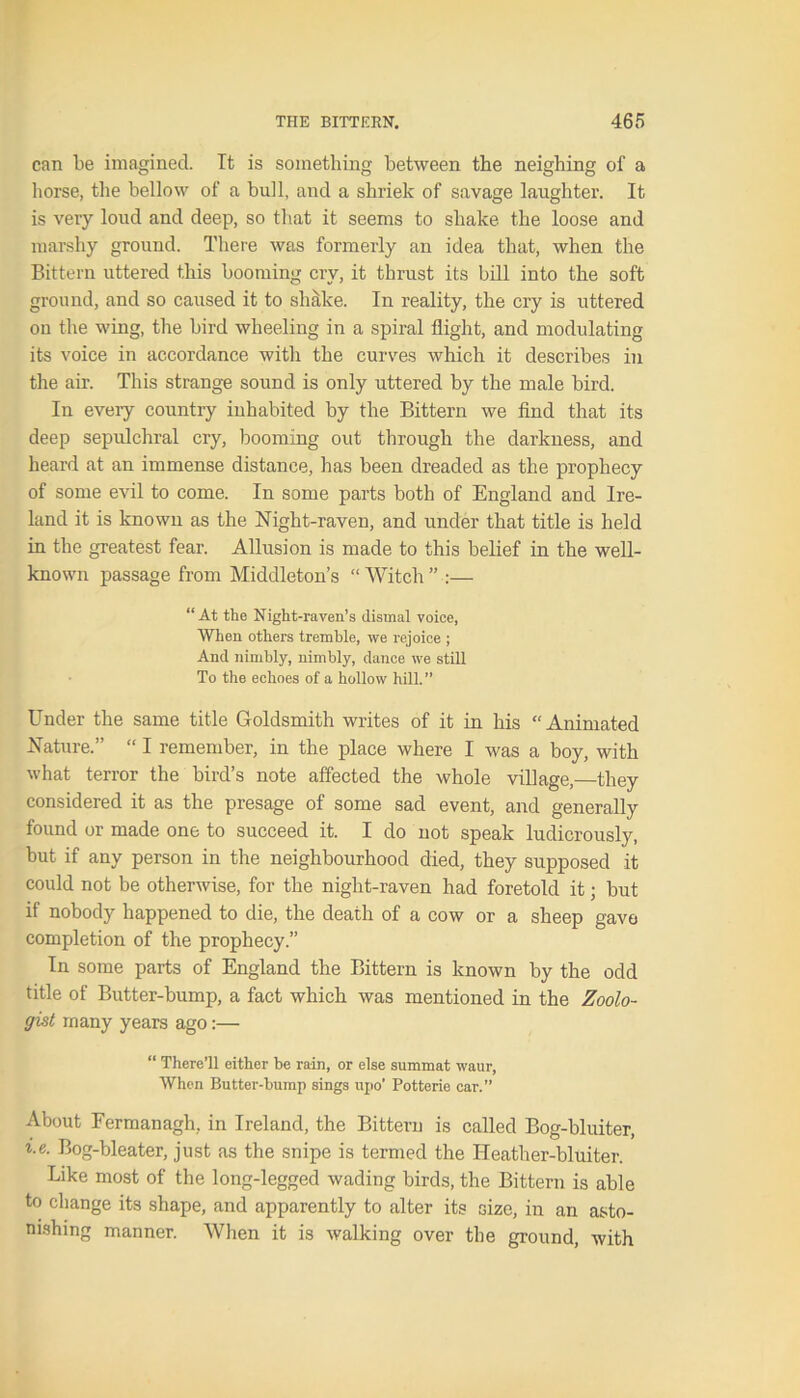 can be imagined. It is something between the neighing of a horse, the bellow of a bull, and a shriek of savage laughter. It is very loud and deep, so that it seems to shake the loose and marshy ground. There was formerly an idea that, when the Bittern uttered this booming cry, it thrust its bill into the soft ground, and so caused it to shake. In reality, the cry is uttered on the wing, the bird wheeling in a spiral flight, and modulating its voice in accordance with the curves which it describes in the air. This strange sound is only uttered by the male bird. In every country inhabited by the Bittern we find that its deep sepulchral cry, booming out through the darkness, and heard at an immense distance, has been dreaded as the prophecy of some evil to come. In some parts both of England and Ire- land it is known as the Night-raven, and under that title is held in the greatest fear. Allusion is made to this belief in the well- known passage from Middleton’s “ Witch ” :— “At the Night-raven’s dismal voice, When others tremble, we rejoice ; And nimbly, nimbly, dance we still To the echoes of a hollow hill.” Under the same title Goldsmith writes of it in his “ Animated Nature.” “ I remember, in the place where I was a boy, with what terror the bird’s note affected the whole village,—they considered it as the presage of some sad event, and generally found or made one to succeed it. I do not speak ludicrously, hut if any person in the neighbourhood died, they supposed it could not be otherwise, for the night-raven had foretold it; but if nobody happened to die, the death of a cow or a sheep gave completion of the prophecy.” In some parts of England the Bittern is known by the odd title of Butter-bump, a fact which was mentioned in the Zoolo- gist many years ago:— “ There’ll either he rain, or else summat waur, When Butter-hump sings upo' Potterie car.” About Fermanagh, in Ireland, the Bittern is called Bog-bluiter, i.e. Bog-bleater, just as the snipe is termed the Heather-bluiter. Like most of the long-legged wading birds, the Bittern is able to change its shape, and apparently to alter its size, in an asto- nishing manner. When it is walking over the ground, with