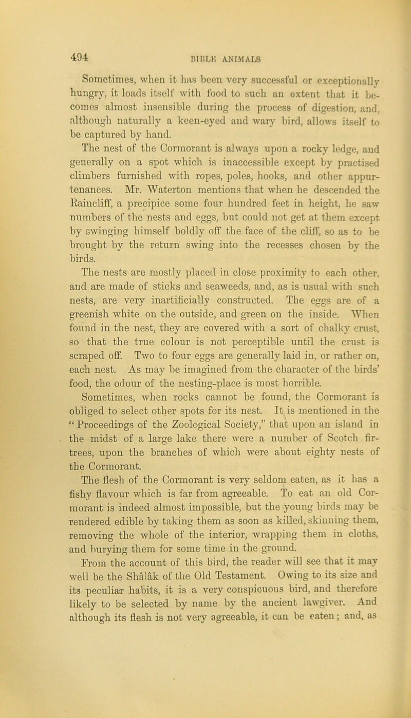 Sometimes, wlien it lias been very successful or exceptionally hungry, it loads itself with food to such an extent that it be- comes almost insensible during the process of digestion, and. although naturally a keen-eyed and wary bird, allows itself to be captured by hand. The nest of the Cormorant is always upon a rocky ledge, and generally on a spot which is inaccessible except by practised climbers furnished with ropes, poles, hooks, and other appur- tenances. Mr. Waterton mentions that when he descended the Raincliff, a precipice some four hundred feet in height, he saw numbers of the nests and eggs, but could not get at them except by swinging himself boldly off the face of the cliff, so as to be brought by the return swing into the recesses chosen by the birds. The nests are mostly placed in close proximity to each other, and are made of sticks and seaweeds, and, as is usual with such nests, are very inartificially constructed. The eggs are of a greenish white on the outside, and green on the inside. When found in the nest, they are covered with a sort of chalky crust, so that the true colour is not perceptible until the crust is scraped off. Two to four eggs are generally laid in, or rather on, each nest. As may be imagined from the character of the birds’ food, the odour of the nesting-place is most horrible. Sometimes, when rocks cannot be found, the Cormorant is obliged to select other spots for its nest. It is mentioned in the “ Proceedings of the Zoological Society,” that upon an island in the midst of a large lake there were a number of Scotch fir- trees, upon the branches of which were about eighty nests of the Cormorant. The flesh of the Cormorant is very seldom eaten, as it has a fishy flavour which is far from agreeable. To eat an old Cor- morant is indeed almost impossible, but the young birds may be rendered edible by taking them as soon as killed, skinning them, removing the whole of the interior, wrapping them in cloths, and burying them for some time in the ground. From the account of this bird, the reader will see that it may well be the Slialak of the Old Testament. Owing to its size and its peculiar habits, it is a very conspicuous bird, and therefore likely to be selected by name by the ancient lawgiver. And although its flesh is not very agreeable, it can be eaten; and, as