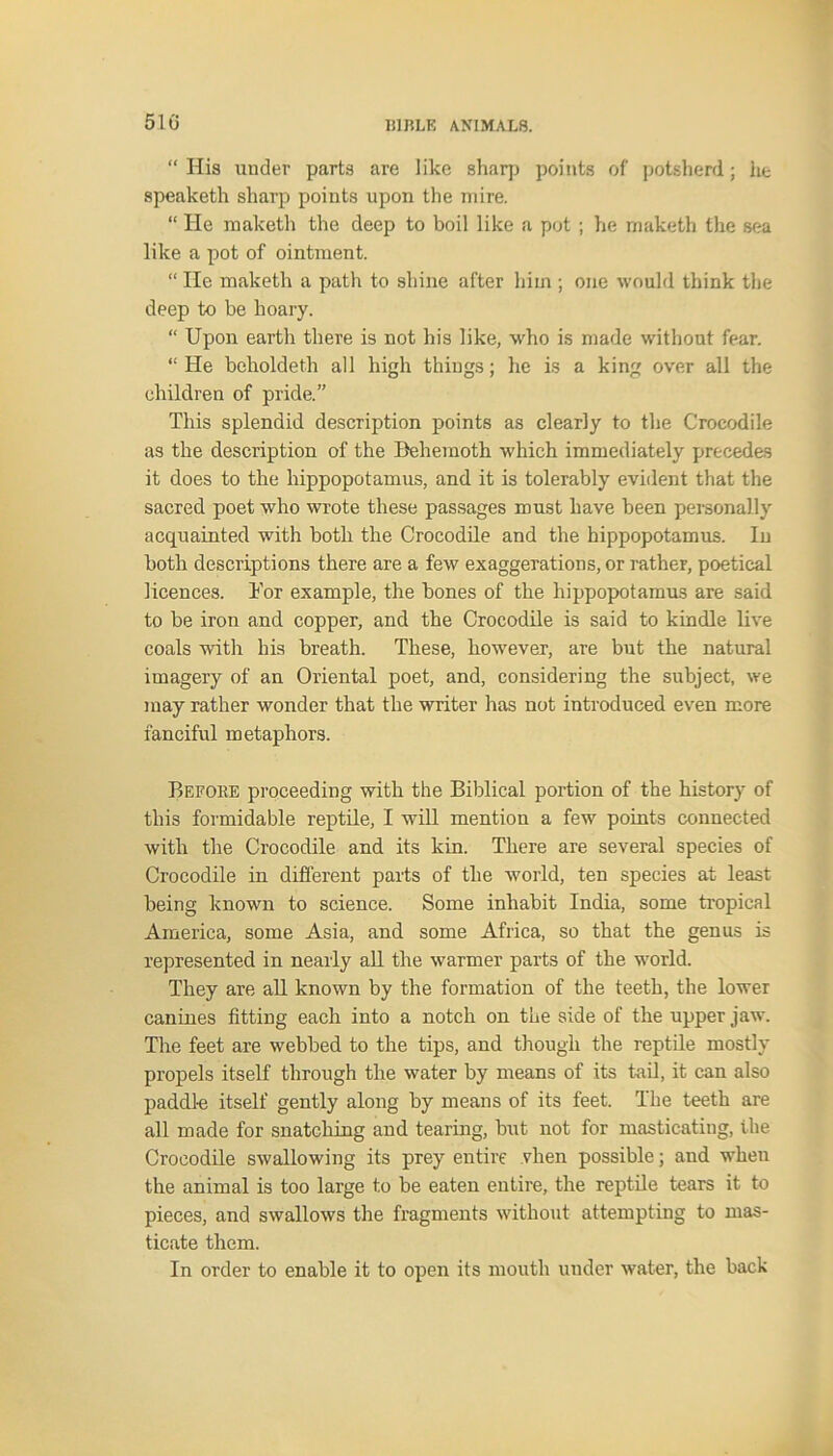 “ His under parts are like sharp points of potsherd; lie speaketh sharp points upon the mire. “ He maketh the deep to boil like a pot; he rnaketh the sea like a pot of ointment. “ He maketh a path to shine after him ; one would think the deep to be hoary. “ Upon earth there is not his like, who is made without fear. “ He behold eth all high things; he is a king over all the children of pride.” This splendid description points as clearly to the Crocodile as the description of the Behemoth which immediately precedes it does to the hippopotamus, and it is tolerably evident that the sacred poet who wrote these passages must have been personally acquainted with both the Crocodile and the hippopotamus. In both descriptions there are a few exaggerations, or rather, poetical licences. Tor example, the bones of the hippopotamus are said to be iron and copper, and the Crocodile is said to kindle live coals with his breath. These, however, are but the natural imagery of an Oriental poet, and, considering the subject, we may rather wonder that the writer has not introduced even more fanciful metaphors. Before proceeding with the Biblical portion of the history of this formidable reptile, I will mention a few points connected with the Crocodile and its kin. There are several species of Crocodile in different parts of the world, ten species at least being known to science. Some inhabit India, some tropical America, some Asia, and some Africa, so that the genus is represented in nearly all the warmer parts of the world. They are all known by the formation of the teeth, the lower canines fitting each into a notch on the side of the upper jaw. The feet are webbed to the tips, and though the reptile mostly propels itself through the water by means of its tail, it can also paddle itself gently along by means of its feet. The teeth are all made for snatching and tearing, but not for masticating, the Crocodile swallowing its prey entire vlien possible; and when the animal is too large to be eaten entire, the reptile tears it to pieces, and swallows the fragments without attempting to mas- ticate them. In order to enable it to open its mouth under water, the back