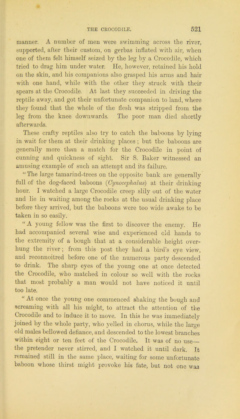 manner. A number of men were swimming across the river, supported, after their custom, on gerbas inflated with air, when one of them felt himself seized by the leg by a Crocodile, whioh tried to drag him under water. He, however, retained his hold on the skin, and his companions also grasped his arms and hair with one hand, while with the other they struck with their spears at the Crocodile. At last they succeeded in driving the reptile away, and got their unfortunate companion to land, where they found that the whole of the flesh was stripped from the leg from the knee downwards. The poor man died shortly afterwards. These crafty reptiles also try to catch the baboons by lying in wait for them at their drinking places ; but the baboons are generally more than a match for the Crocodile in point of cunning and quickness of sight. Sir S. Baker witnessed an amusing example of such an attempt and its failure. “ The large tamarind-trees on the opposite bank are generally full of the dog-faced baboons (Cynoccphcilus) at their drinking hour. I watched a large Crocodile creep slily out of the water and lie in waiting among the rocks at the usual drinking place before they arrived, but the baboons were too wide awake to be taken in so easily. “ A young fellow was the first to discover the enemy. He had accompanied several wise and experienced old hands to the extremity of a bough that at a considerable height over- hung the river; from this post they had a bird’s eye view, and reconnoitred before one of the numerous party descended to drink. The sharp eyes of the young one at once detected the Crocodile, who matched in colour so well with the rocks that most probably a man would not have noticed it until too late. “ At once the young one commenced shaking the bough and screaming with all his might, to attract the attention of the Crocodile and to induce it to move. In this he was immediately joined by the whole party, who yelled in chorus, while the large old males bellowed defiance, and descended to the lowest branches within eight or ten feet of the Crocodile. It was of no use the pretender never stirred, and I watched it until dark. It remained still in the same place, waiting for some unfortunate baboon whose thirst might provoke his fate, but not one was