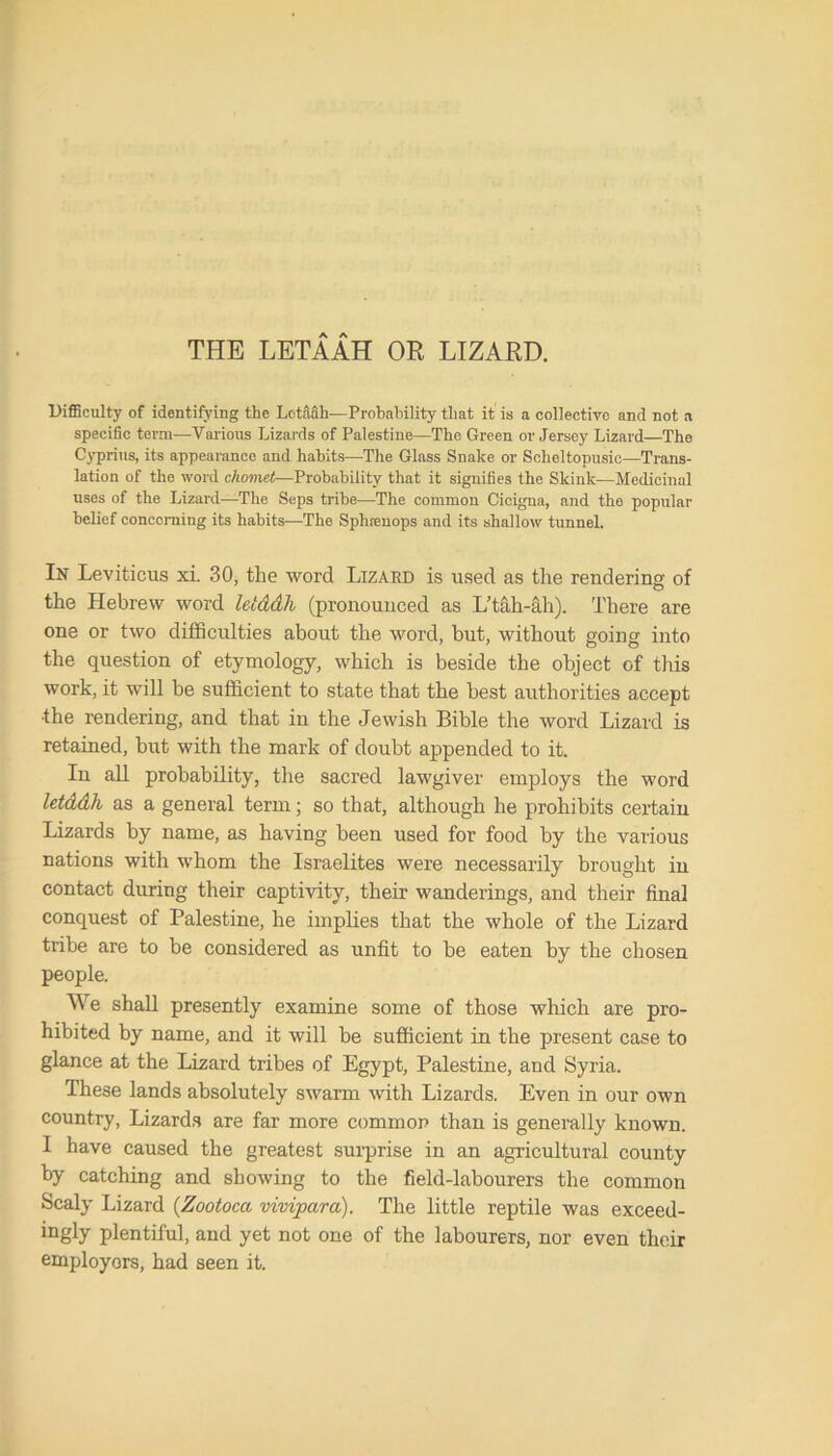 THE LETAAH OR LIZARD. Difficulty of identifying the Lctafih—Probability that it is a collective and not a specific term—Various Lizards of Palestine—The Green or Jersey Lizard—The Cyprius, its appearance and habits—The Glass Snake or Scheltopusic—Trans- lation of the word cliomet—Probability that it signifies the Skinlc—Medicinal uses of the Lizard—The Seps tribe—The common Cicigna, and the popular belief concerning its habits—The Sphrenops and its shallow tunnel. In Leviticus xi. 30, the word Lizard is used as the rendering of the Hebrew word letddli (pronounced as L’tah-ah). There are one or two difficulties about the word, but, without going into the question of etymology, which is beside the object of this work, it will be sufficient to state that the best authorities accept ■the rendering, and that in the Jewish Bible the word Lizard is retained, but with the mark of doubt appended to it. In all probability, the sacred lawgiver employs the word letddh as a general term; so that, although he prohibits certain Lizards by name, as having been used for food by the various nations with whom the Israelites were necessarily brought in contact during their captivity, their wanderings, and their final conquest of Palestine, he implies that the whole of the Lizard tribe are to be considered as unfit to be eaten by the chosen people. We shall presently examine some of those which are pro- hibited by name, and it will be sufficient in the present case to glance at the Lizard tribes of Egypt, Palestine, and Syria. These lands absolutely swarm with Lizards. Even in our own country, Lizards are far more common than is generally known. I have caused the greatest surprise in an agricultural county by catching and showing to the field-labourers the common Scaly Lizard (Zootoca vivipara). The little reptile was exceed- ingly plentiful, and yet not one of the labourers, nor even their employers, had seen it.