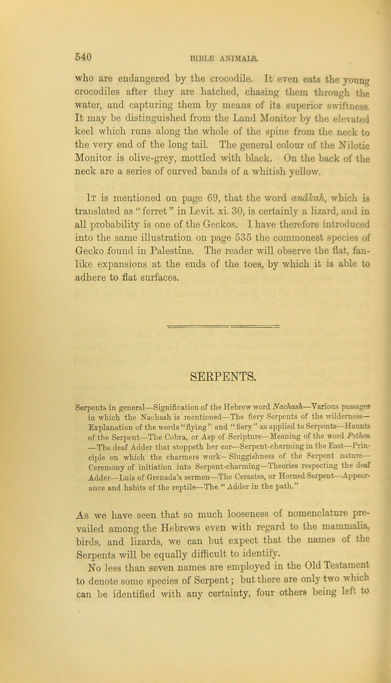 who are endangered by the crocodile. It even eats the young crocodiles after they are hatched, chasing them through the water, and capturing them by means of its superior swiftness. It may be distinguished from the Land Monitor by the elevated keel which runs along the whole of the spine from the neck to the very end of the long tail. The general colour of the Nilotic Monitor is olive-grey, mottled with black. On the back of the neck are a series of curved bands of a whitish yellow. It is mentioned on page 69, that the word o/nalcah, which is translated as “ ferret ” in Levit. xi. 30, is certainly a lizard, and in all probability is one of the Geckos. I have therefore introduced into the same illustration on page 535 the commonest species of Gecko found in Palestine. The reader will observe the flat, fan- like expansions at the ends of the toes, by which it is able to adhere to flat surfaces. SERPENTS. Serpents in general—Signification of the Hebrew word Nachash—Various passages in which the Nachash is mentioned—The fiery Serpents of the wilderness— Explanation of the words “ flying ” and “ fiery ” as applied to Serpents—Haunts of the Serpent—The Cobra, or Asp of Scripture—Meaning of the word Pcthcn —The deaf Adder that stoppeth her ear—Serpent-charming in the East— Prin- ciple on which the charmers work—Sluggishness of the Serpent nature— Ceremony of initiation into Serpent-charming—Theories respecting the deaf Adder—Luis of Grenada’s sermon—The Cerastes, or Horned Serpent—Appear- ance and habits of the reptile—The “ Adder in the path. As we have seen that so much looseness of nomenclature pre- vailed among the Hebrews even with regard to the mammalia, birds, and lizards, we can but expect that the names of the Serpents will be equally difficult to identify. No less than seven names are employed in the Old Testament to denote some species of Serpent; but there are only two which can be identified with any certainty, four others being left to
