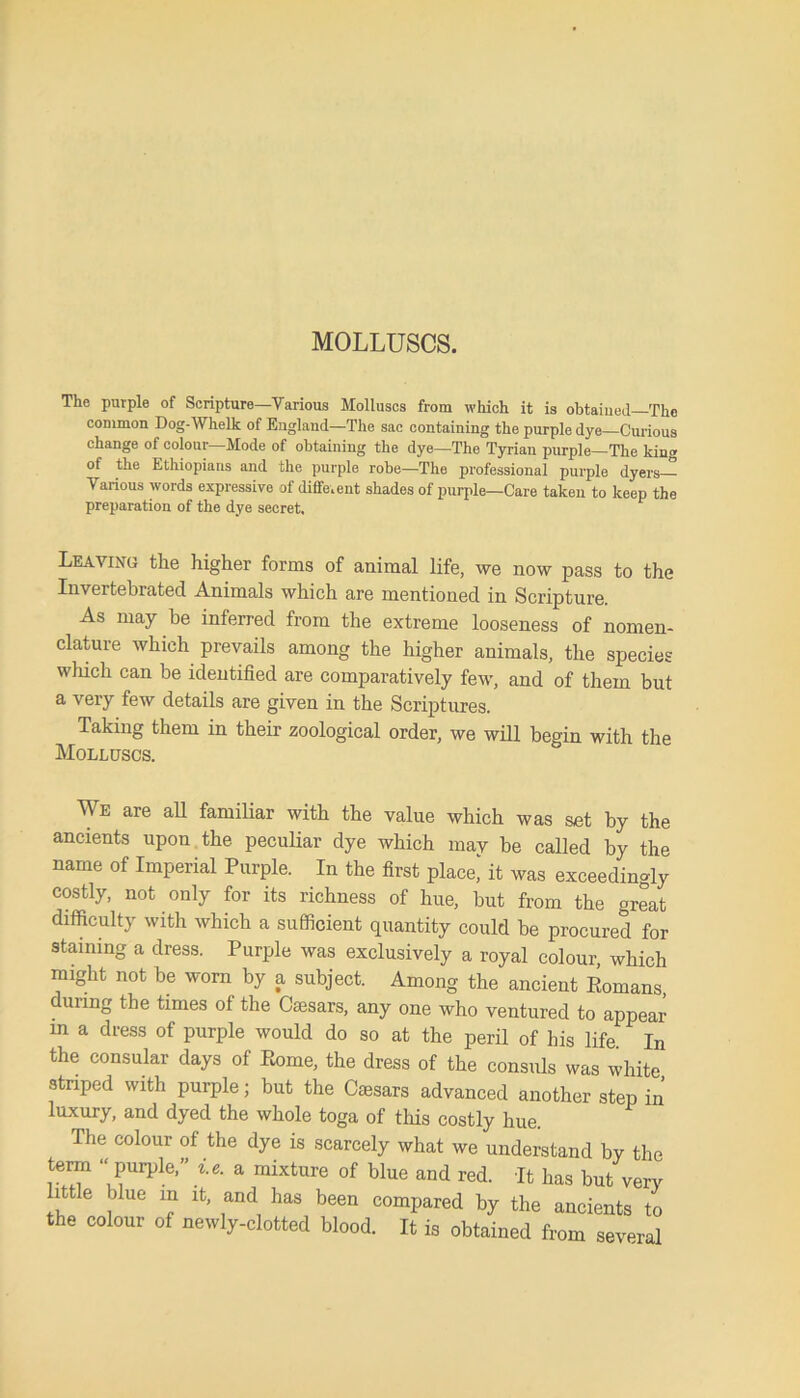 MOLLUSCS. The purple of Scripture—Various Molluscs from which it is obtaiued The common Dog-Whelk of England—The sac containing the purple dye Curious change of colour—Mode of obtaining the dye—The Tyrian purple—The king of the Ethiopians and the purple robe—The professional purple dyers— Various words expressive of different shades of purple—Care taken to keep the preparation of the dye secret. Leaving the higher forms of animal life, we now pass to the Invertebrated Animals which are mentioned in Scripture. As may be inferred from the extreme looseness of nomen- clature which prevails among the higher animals, the species which can be identified are comparatively few, and of them but a very few details are given in the Scriptures. Taking them in their zoological order, we will begin with the Molluscs. We are all familiar with the value which was set by the ancients upon the peculiar dye which mav be called by the name of Imperial Purple. In the first place] it was exceedingly costly, not only for its richness of hue, but from the great difficulty with which a sufficient quantity could he procured for staining a dress. Purple was exclusively a royal colour, which might not he worn by a subject. Among the ancient Romans, uring the times of the Caesars, any one who ventured to appear in a dress of purple would do so at the peril of his life In the consular days of Rome, the dress of the consuls was white striped with purple; but the Caisars advanced another step in luxury, and dyed the whole toga of this costly hue. The colour of the dye is scarcely what we understand by the term “purple,” la a mixture of blue and red. It has but very little blue in it, and has been compared by the ancients to the colour of newly-clotted blood. It is obtained from several