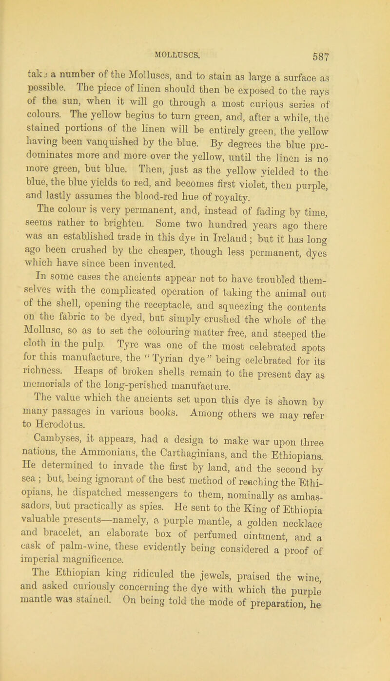 ttilvj a number ot the Molluscs, and to stain as large a surface as possible. The piece of linen should then be exposed to the rays ot the sun, when it will go through a most curious series of colours. The yellow begins to turn green, and, after a while, the stained portions ot the linen will be entirely green, the yellow having been vanquished by the blue. By degrees the blue pre- dominates more and more over the yellow, uutil the linen is no more green, but blue. Then, just as the yellow yielded to the blue, the blue yields to red, and becomes first violet, then purple, and lastly assumes the blood-red hue of royalty. The colour is very permanent, and, instead of fading by time, seems rather to brighten. Some two hundred years ago there was an established trade in this dye in Ireland; but it has long ago been crushed by the cheaper, though less permanent, dyes which have since been invented. In some cases the ancients appear not to have troubled them- selves with the complicated operation of taking the animal out of the shell, opening the receptacle, and squeezing the contents on the fabric to be dyed, but simply crushed the whole of the Mollusc, so as to set the colouring matter free, and steeped the cloth in the pulp. Tyre was one of the most celebrated spots for this manufacture, the “ Tyrian dye ” being celebrated for its richness. Heaps of broken shells remain to the present day as memorials of the long-perished manufacture. The value which the ancients set upon this dye is shown by many passages in various books. Among others we may refer to Herodotus. Cambyses, it appears, had a design to make war upon three nations, the Ammonians, the Carthaginians, and the Ethiopians. He determined to invade the first by land, and the second by sea ; but, being ignorant of the best method of reaching the Ethi- opians, he dispatched messengers to them, nominally as ambas- sadors, but practically as spies. He sent to the King of Ethiopia valuable presents—namely, a purple mantle, a golden necklace and bracelet, an elaborate box of perfumed ointment, and a. cask of palm-wine, these evidently being considered a proof of imperial magnificence. The Ethiopian king ridiculed the jewels, praised the wine and asked curiously concerning the dye with which the purple mantle was stained. On being told the mode of preparation he