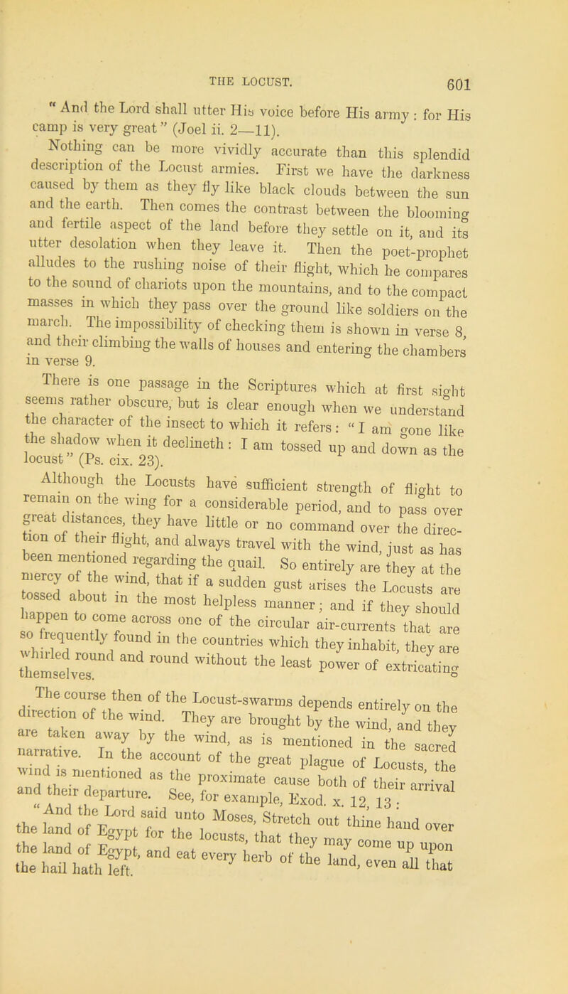  ^e Lord shall utter His voice before His army : for His camp is very great ” (Joel ii. 2—11). Nothing can be more vividly accurate than this splendid description of the Locust armies. First we have the darkness caused by them as they fly like black clouds between the sun and the earth. Then comes the contrast between the bloomino- and fertile aspect of the land before they settle on it and its utter desolation when they leave it. Then the poet-prophet alludes to the rushing noise of their flight, which he compares to the sound of chariots upon the mountains, and to the compact masses in which they pass over the ground like soldiers on the march. The impossibility of checking them is shown in verse 8 and their climbing the walls of houses and entering the chambers in verse 9. There is one passage in the Scriptures which at first sight seems rather obscure, but is clear enough when we understand the character of the insect to which it refers: “lam gone like “l^deolineth: 1 am tossed and do™ as Although the Locusts have sufficient strength of flight to remain on the wing for a considerable period, and to pass over £ distances, they have little or no command over the direc- tion of their flight, and always travel with the wind, just as has been mentioned regarding the quail. So entirely are they at the tossed h \G u lf a SUdden gUst arises the L«cu8ts are tossed about in the most helpless manner; and if they should happen to come across one of the circular air-currents that are frequentiy found m the countries which they inhabit, they are a°d r0lmd WitW ‘be W extricating Ihe course then of the Locust-swarms depends entirely on the lectmn of the wind. They are brought by the wind, and they are taken away by the wind, as is mentioned in the sacred arra ive. n the account of the great plague of Locusts the vmd is mentioned as the proximate cause both of their arrival - :xrr • ,see’for exan,i>ie- Ex°d'*•i2-13 ^ the land fE^tT ^ B*“h °M lhi“e -er