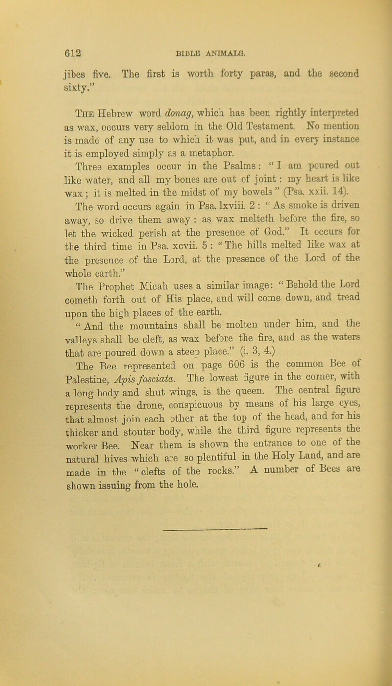 jibes five. The first is worth forty paras, and the second sixty.” The Hebrew word donag, which has been rightly interpreted as wax, occurs very seldom in the Old Testament. No mention is made of any use to which it was put, and in every instance it is employed simply as a metaphor. Three examples occur in the Psalms: “ I am poured out like water, and all my bones are out of joint: my heart is like wax; it is melted in the midst of my bowels ” (Psa. xxii. 14). The word occurs again in Psa. lxviii. 2 : “ As smoke is driven away, so drive them away : as wax melteth before the fire, so let the wicked perish at the presence of God.” It occurs for the third time in Psa. xcvii. 5 : “ The hills melted like wax at the presence of the Lord, at the presence of the Lord of the. whole earth.” The Prophet Micah uses a similar image: “ Behold the Lord cometli forth out of His place, and will come down, and tread upon the high places of the earth. “ And the mountains shall be molten under him, and the valleys shall be cleft, as wax before the fire, and as the waters that are poured down a steep place.” (i. 3, 4.) The Bee represented on page 606 is the common Bee of Palestine, Apis fasciata. The lowest figure in the corner, with a long body and shut wings, is the queen. The central figure represents the drone, conspicuous by means of his large eyes, that almost join each other at the top of the head, and for his thicker and stouter body, while the third figure represents the worker Bee. Near them is shown the entrance to one of the natural hives which are so plentiful in the Holy Land, and are made in the “ clefts of the rocks.” A number of Bees are shown issuing from the hole.