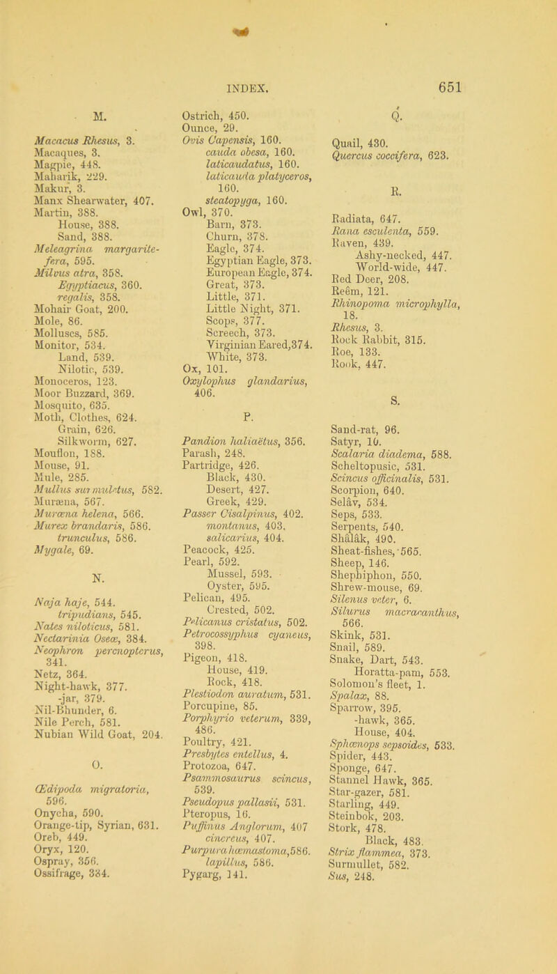 M. Macacos Rhesus, 3. Macaques, 3. Magpie, 448. Maharik, 229. Makur, 3. Manx Shearwater, 407. Martin, 388. House, 388. Sand, 388. Meleagrina margaritc- /era, 595. Milvus atra, 358. Egyptiacus, 360. regalis, 358. Mohair Goat, 200. Mole, 86. Molluscs, 585. Monitor, 534. Land, 539. Nilotic, 539. Mouoceros, 123. Moor Buzzard, 369. Mosquito, 635. Moth, Clothes, 624. Grain, 626. Silkworm, 627. Mouflon, 188. Mouse, 91. Mule, 285. Mullus swt muletus, 582. Murtena, 567. Murcena helena, 566. Murex brandaris, 586. trunculus, 586. My gale, 69. N. Naja haje, 544. tripudians, 545. Nates niloticus, 581. Nectarinia Osece, 384. Neophron percnopterus, 341. Nctz, 364. Night-hawk, 377. -jar, 379. Nil-Bhunder, 6. Nile Perch, 581. Nubian Wild Goat, 204. O. CEdipoda migraloria, 596. Onycha, 590. Orange-tip, Syrian, 631. Oreb, 449. Oryx, 120. Ospray, 356. Ossifrage, 334. Ostrich, 450. Ounce, 29. Ovis Capensis, 160. cauda obesa, 160. lalicaudatus, 160. laticauda platyceros, 160. stcatopyga, 160. Owl, 370. Barn, 373. Churn, 378. Eagle, 374. Egyptian Eagle, 373. European Eagle, 374. Great, 373. Little, 371. Little Night, 371. Scops, 377. Screech, 373. Virginian Eared,374. White, 373. Ox, 101. Oxylophus glandarius, 406. P. Pandion lialiaetus, 356. Parash, 248. Partridge, 426. Black, 430. Desert, 427. Greek, 429. Passer Cisalpinus, 402. montanus, 403. salicarius, 404. Peacock, 425. Pearl, 592. Mussel, 593. Oyster, 595. Pelican, 495. Crested, 502. Pdicanus cristatus, 502. Petrocossyphus oyaneus, 398. Pigeon, 418. House, 419. Bock, 418. Plesliodon auratum, 531. Porcupiue, 85. Porphyrio veterum, 339, 486. Poultry, 421. Presbyles enlellus, 4. Protozoa, 647. Psammosaurus scincus, 539. Pseudopus pallasii, 531. Pteropus, 16. Puffinus Anglorum, 407 cinercus, 407. Purpura hccmastoma,586. lapillus, 586. Pygarg, 141. Q. Quail, 430. Quercus coccifera, 623. R. Radiata, 647. Rana esculenta, 559. Baven, 439. Ashy-necked, 447. World-wide, 447. Red Doer, 208. Reem, 121. Rliinopoma microphylla, 18. Rhesus, 3. Bock Rabbit, 315. Roe, 133. Rook, 447. S. Sand-rat, 96. Satyr, 10. Scalaria diadema, 588. Scheltopusic, 531. Scincus officinalis, 531. Scorpion, 640. Selav, 534. Seps, 533. Serpents, 540. Shalak, 490. Sheat-fishes,-565. Sheep, 146. Shephiphon, 550. Shrew-mouse, 69. Silenus voter, 6. Silurus macraeanthus, 566. Skink, 531. Snail, 589. Snake, Dart, 543. Horatta-pam, 553. Solomon’s fleet, 1. Spalax, 88. Sparrow, 395. -hawk, 365. House, 404. Sphccnops sepsoides, 533. Spider, 443. Sponge, 647. Stannel Hawk, 365. Star-gazer, 581. Starling, 449. Steinbok, 203. Stork, 478. Black, 483. Strix Jlammca, 373. Surmullet, 582. Sus, 248.