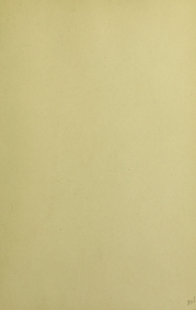 V T'*' ' ■ ,r'^ I ;