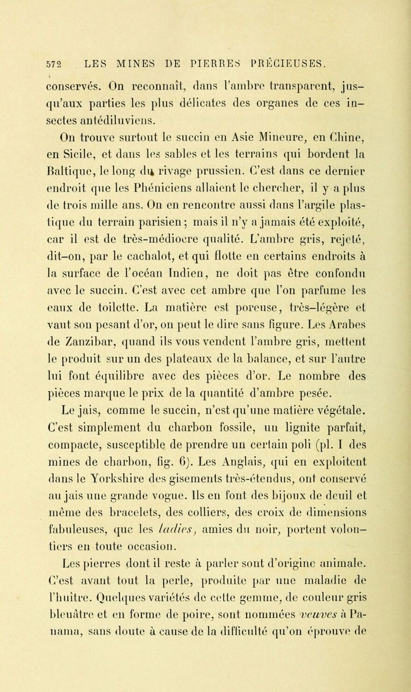 conservés. On reconnaît, dans l’ambre transparent, jus- qu’aux parties les plus délicates des organes de ces in- sectes antédiluviens. On trouve surtout le succin en Asie Mineure, en Chine, en Sicile, et dans les sables et les terrains qui bordent la Baltique, le long du rivage prussien. C’est dans ce dernier endroit que les Phéniciens allaient le chercher, il y a plus de trois mille ans. On en rencontre aussi dans l’argile plas- tique du terrain parisien ; mais il n’y a jamais été exploité, car il est de très-médiocre qualité. L’ambre gris, rejeté, dit-on, par le cachalot, et qui flotte en certains endroits à la surface de l’océan Indien, ne doit pas être confondu avec le succin. C’est avec cet ambre que l’on parfume les eaux de toilette. La matière est poreuse, très-légère et vaut son pesant d’or, on peut le dire sans figure. Les Arabes de Zanzibar, quand ils vous vendent l’ambre gris, mettent le produit sur un des plateaux de la balance, et sur l’autre lui font équilibre avec des pièces d’or. Le nombre des pièces marque le prix de la quantité d’ambre pesée. Le jais, comme le succin, n’est qu’une matière végétale. C’est simplement du charbon fossile, un lignite parfait, compacte, susceptible de prendre un certain poli (pl. I des mines de charbon, fig. 6). Les Anglais, qui en exploitent dans le Yorkshire des gisements très-étendus, ont conservé au jais une grande vogue. Ils en font des bijoux de deuil et même des bracelets, des colliers, des croix de dimensions fabuleuses, que les ladies, amies du noir, portent volon- tiers en toute occasion. Les pierres dont il reste à parler sont d’origine animale. C’est avant tout la perle, produite par une maladie de l’huître. Quelques variétés de cette gemme, de couleur gris bleuâtre et en forme de poire, sont nommées veuves à Pa- nama, sans doute à cause de la difficulté qu’on éprouve de